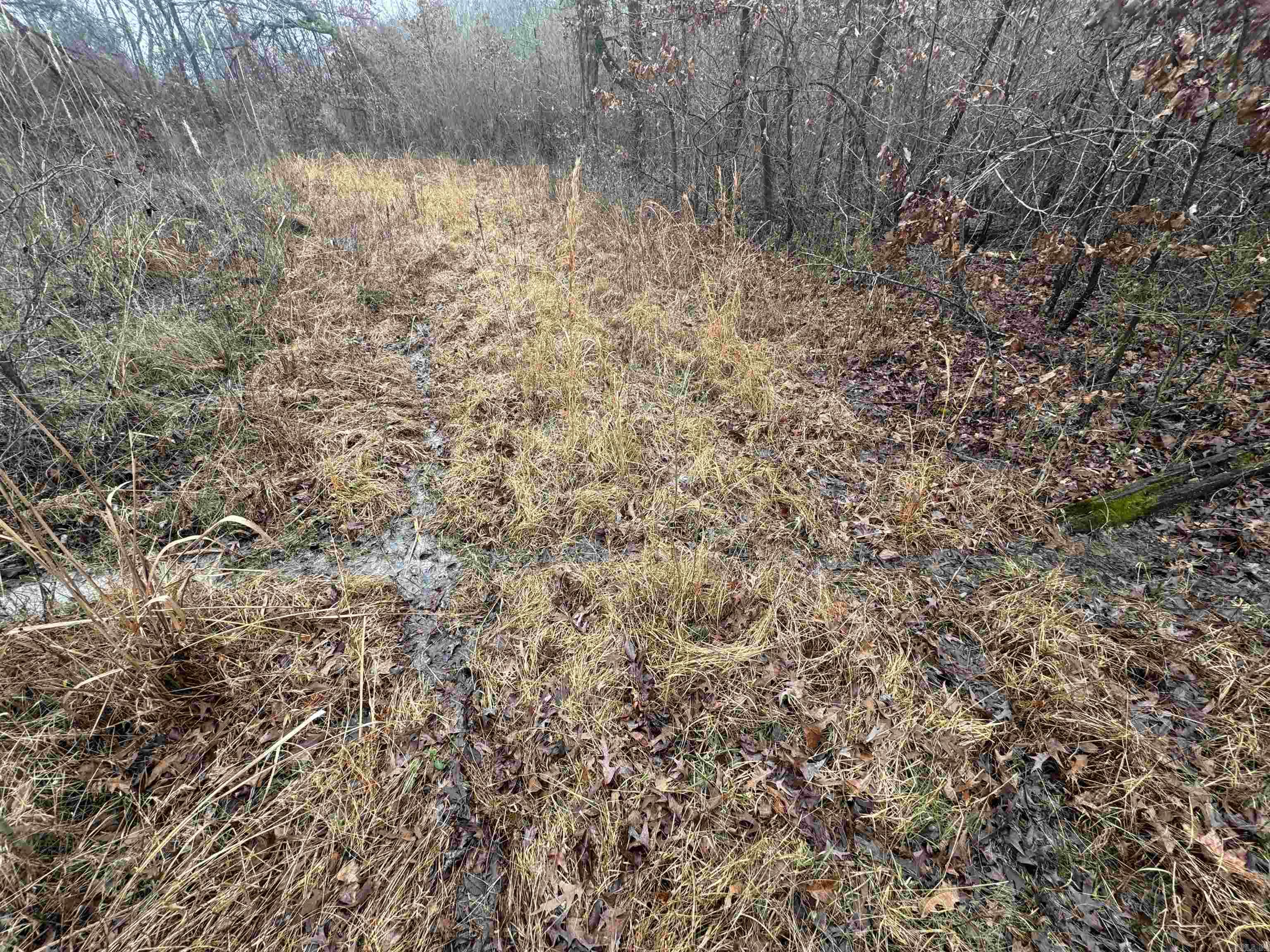 000  County Road 912  Mist, AR