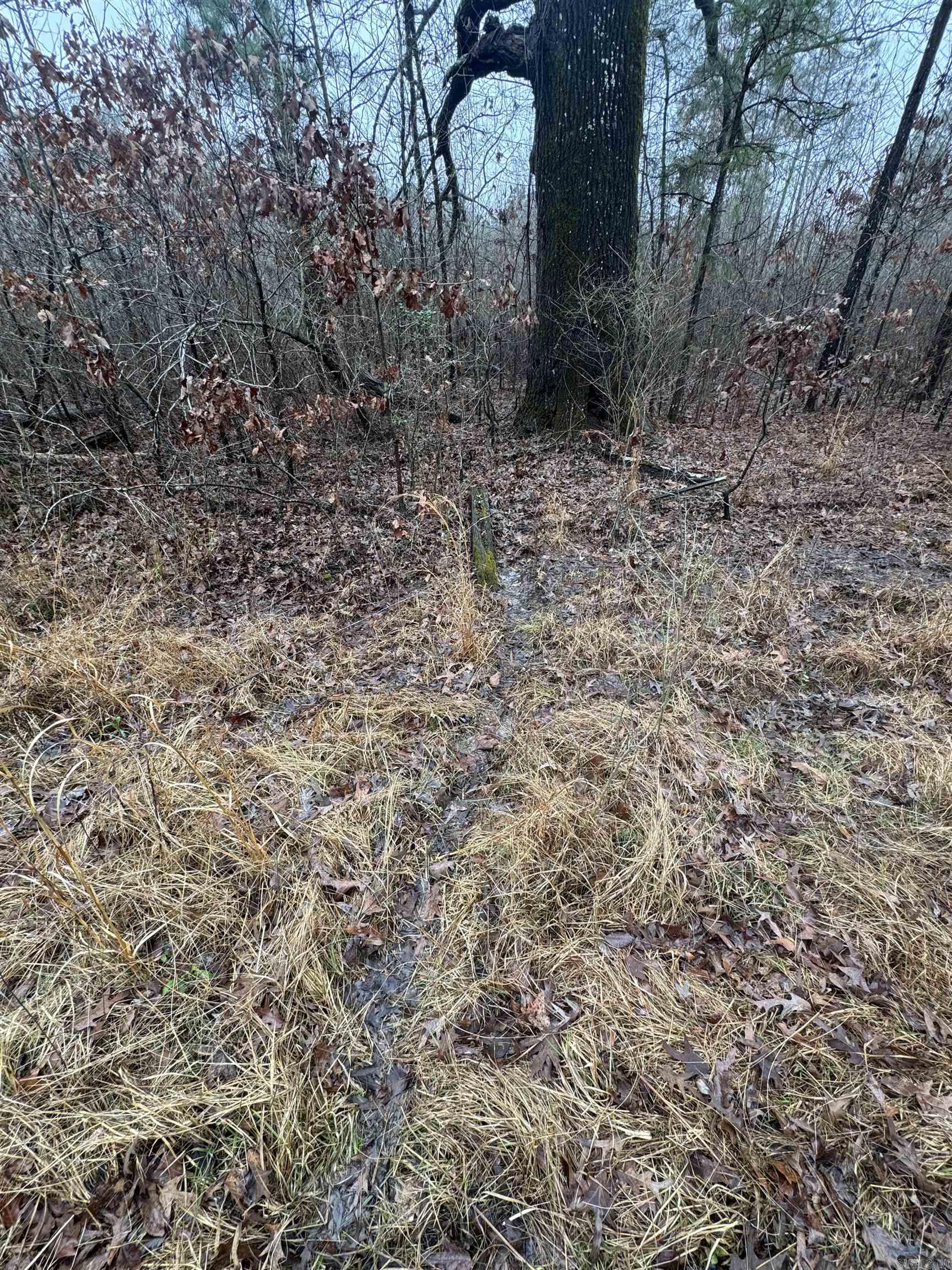 000  County Road 912  Mist, AR