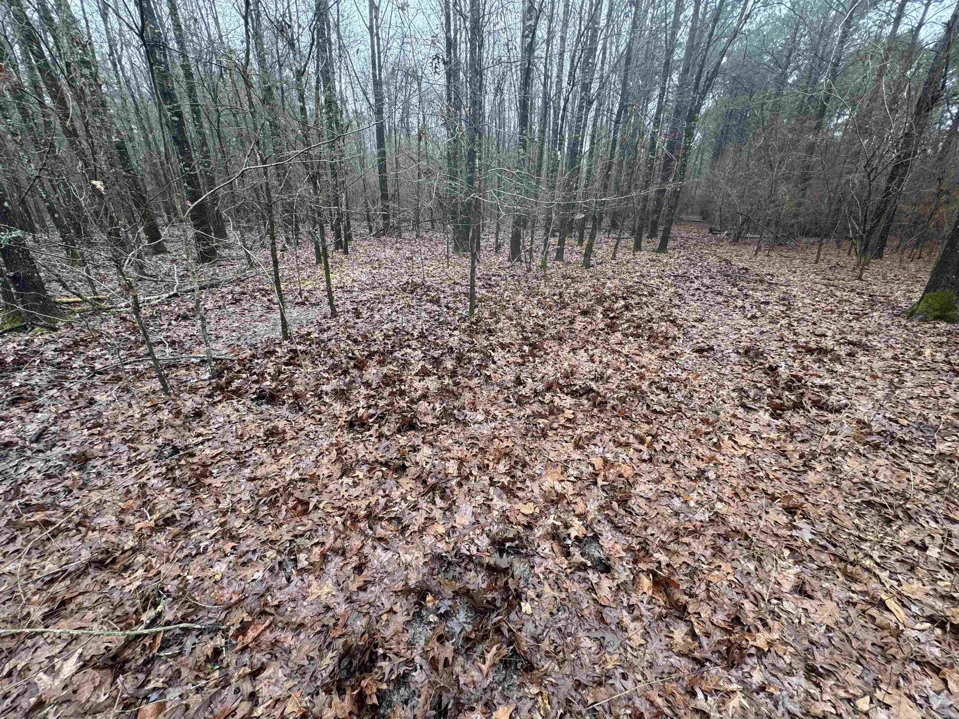 000  County Road 912  Mist, AR