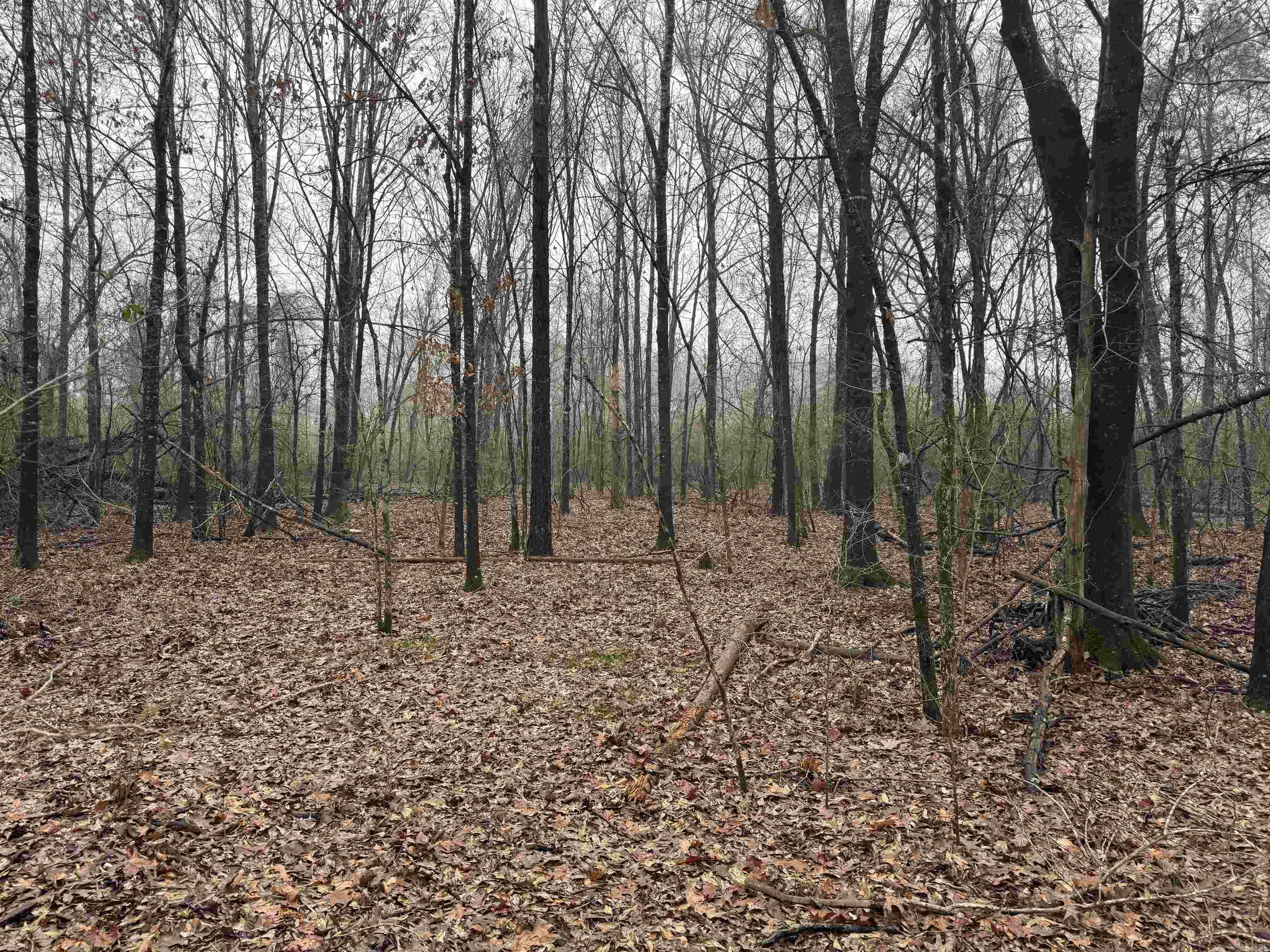 000  County Road 912  Mist, AR