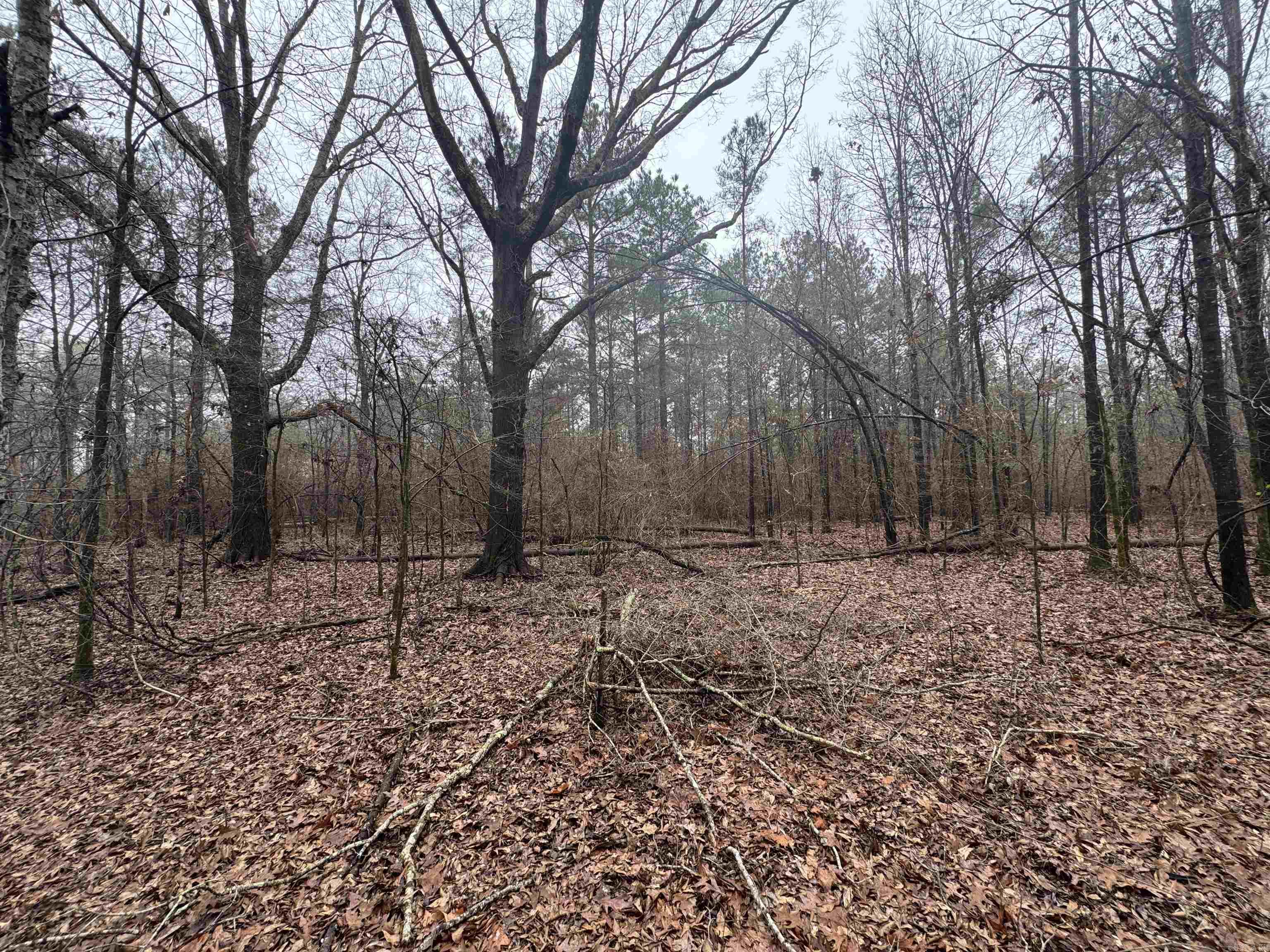 000  County Road 912  Mist, AR