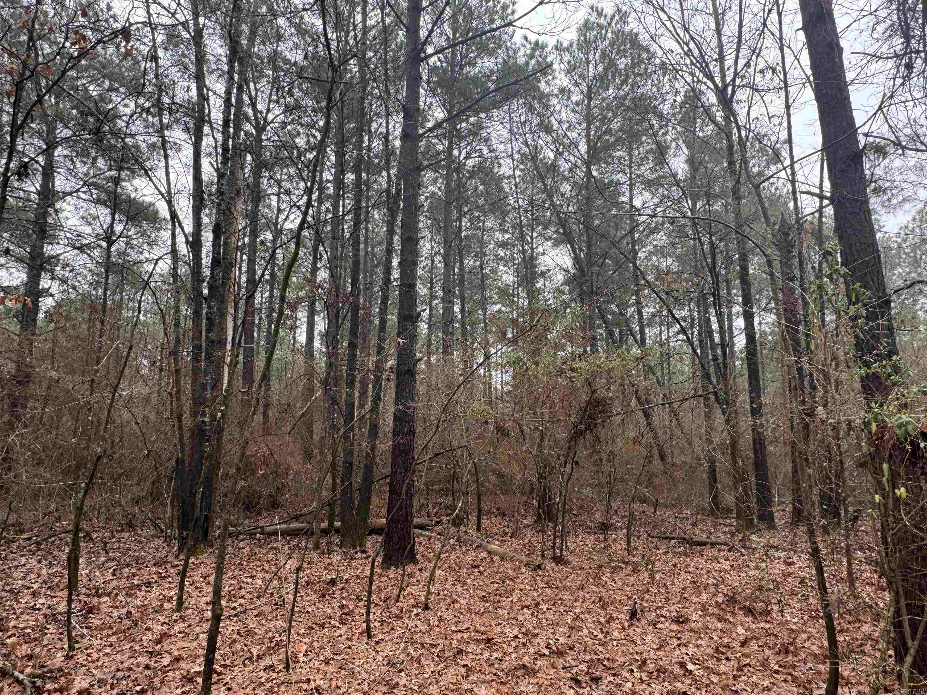 000  County Road 912  Mist, AR