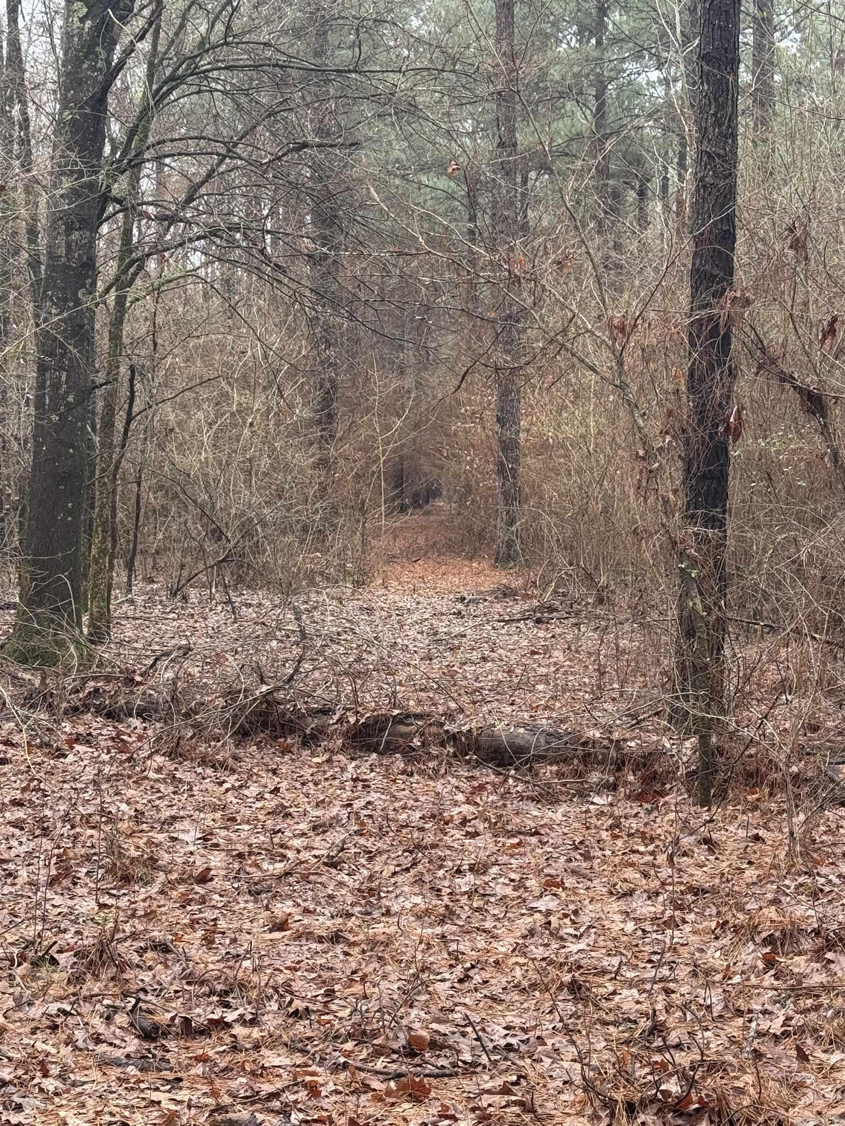 000  County Road 912  Mist, AR