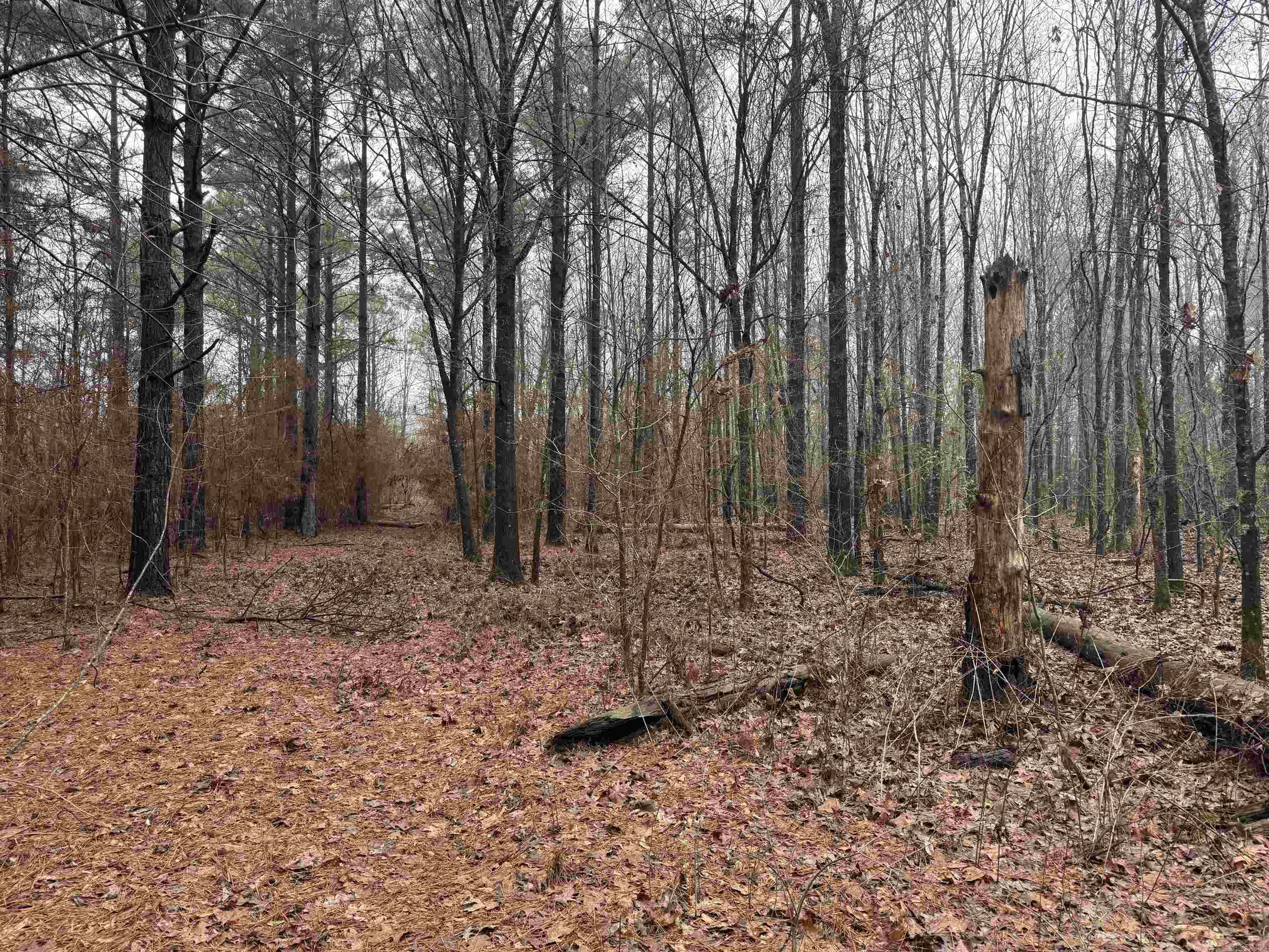 000  County Road 912  Mist, AR