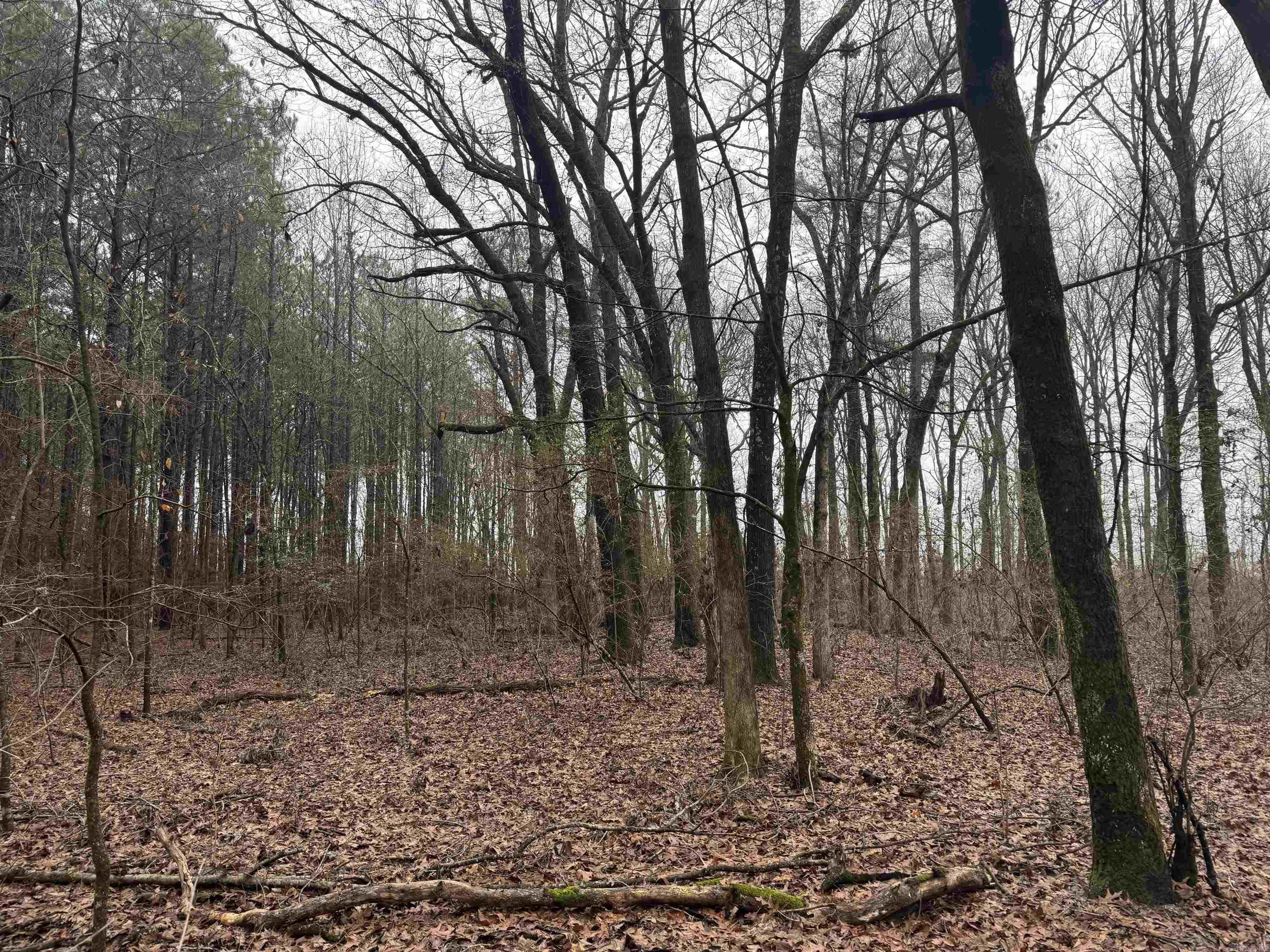 000  County Road 912  Mist, AR