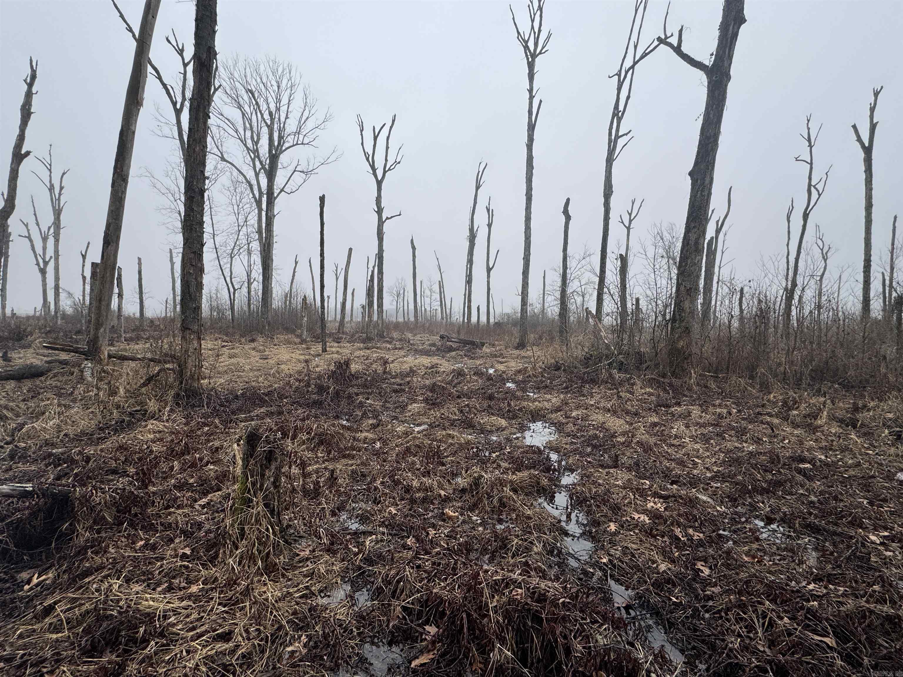000  County Road 912  Mist, AR