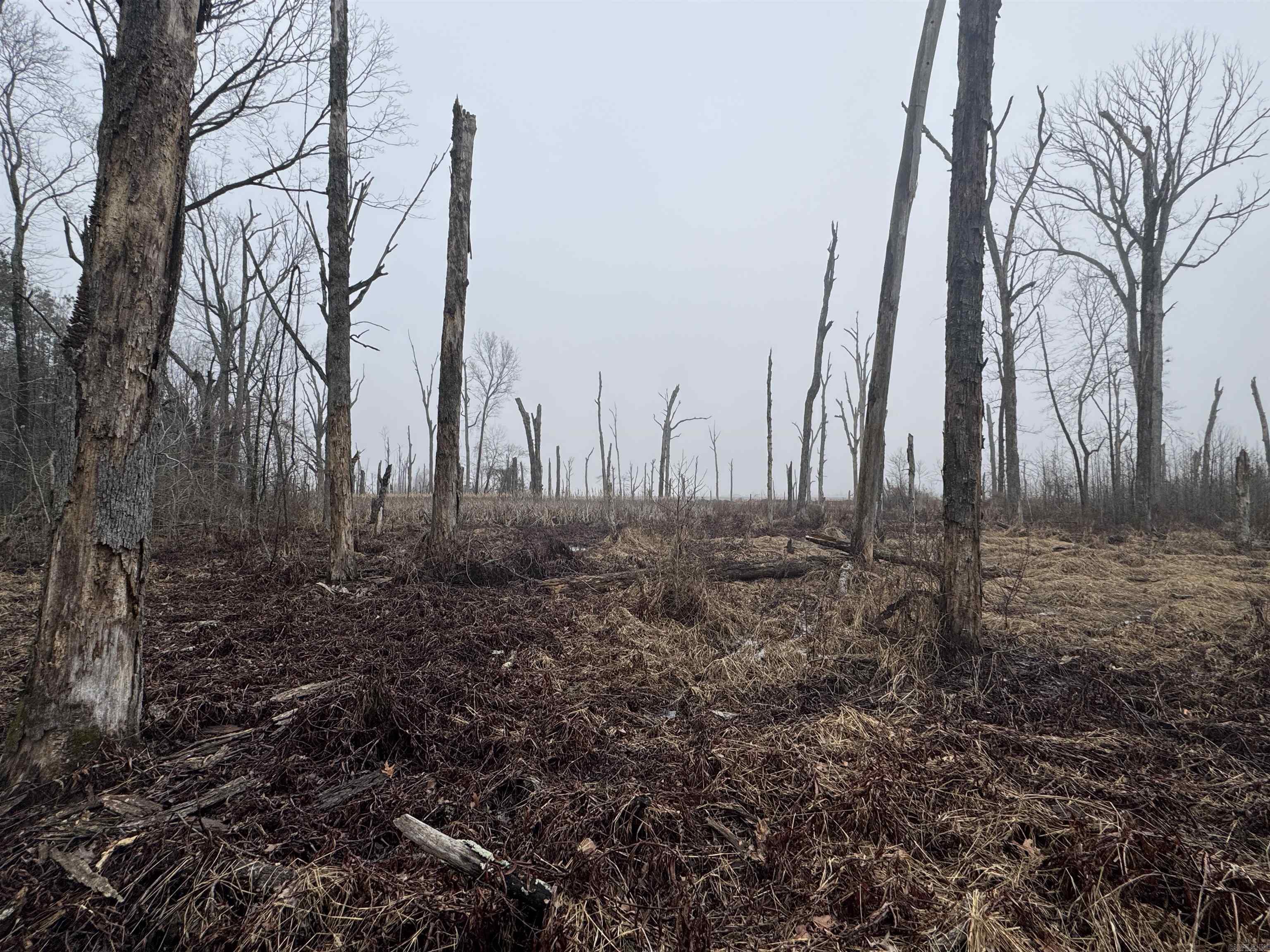 000  County Road 912  Mist, AR