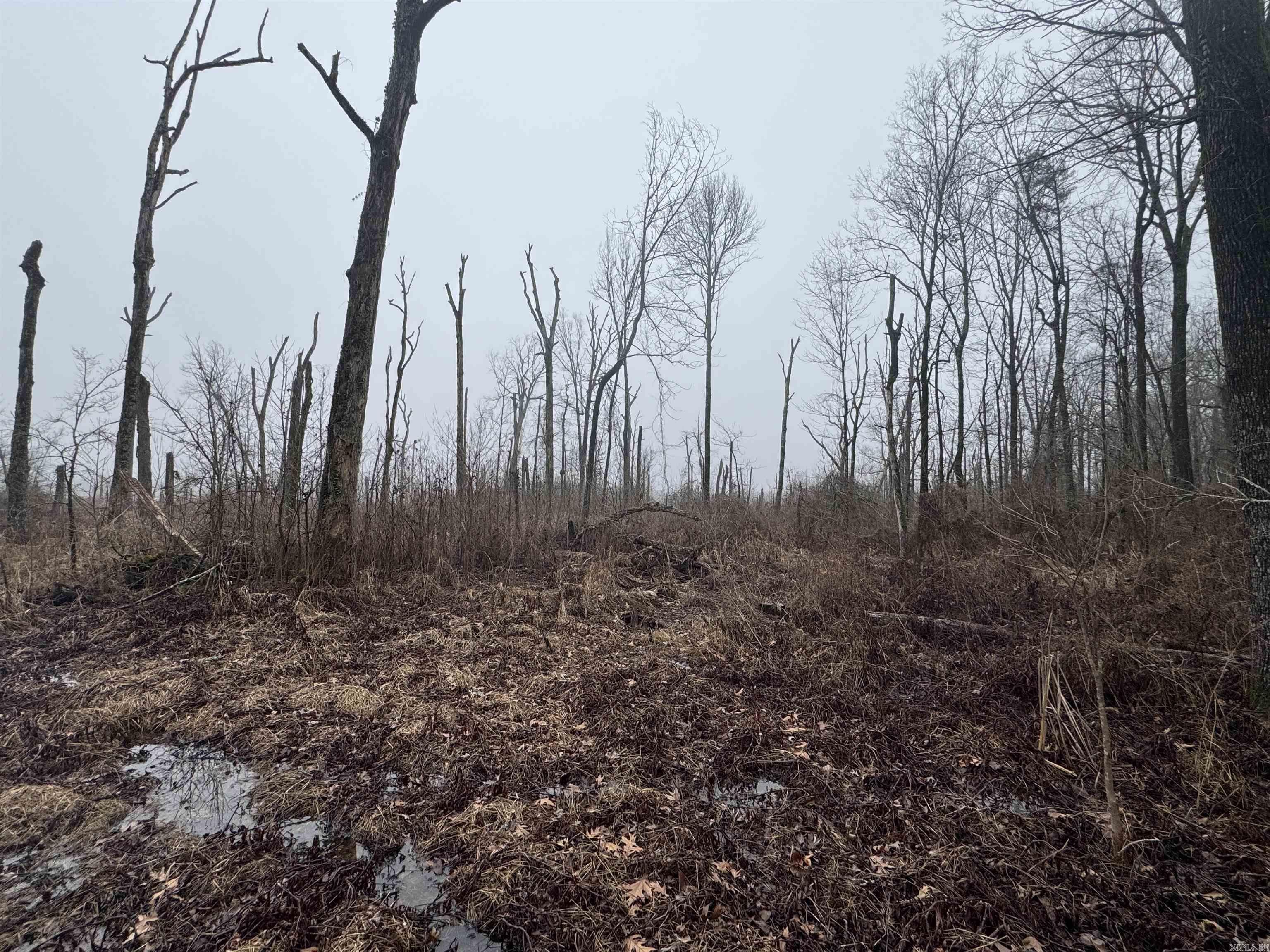 000  County Road 912  Mist, AR