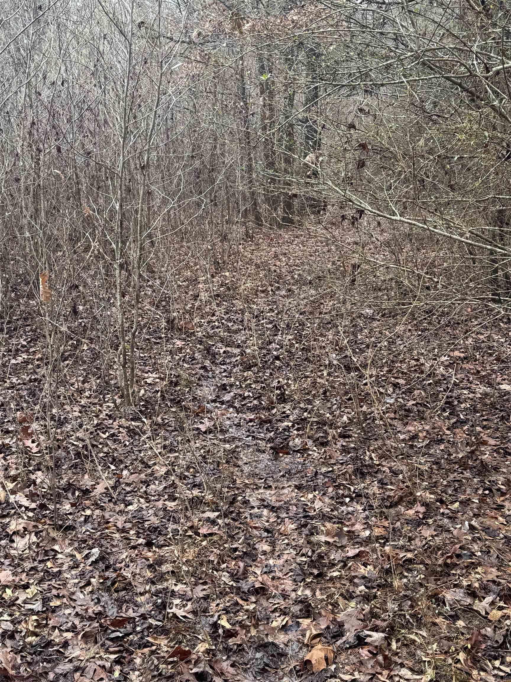 000  County Road 912  Mist, AR