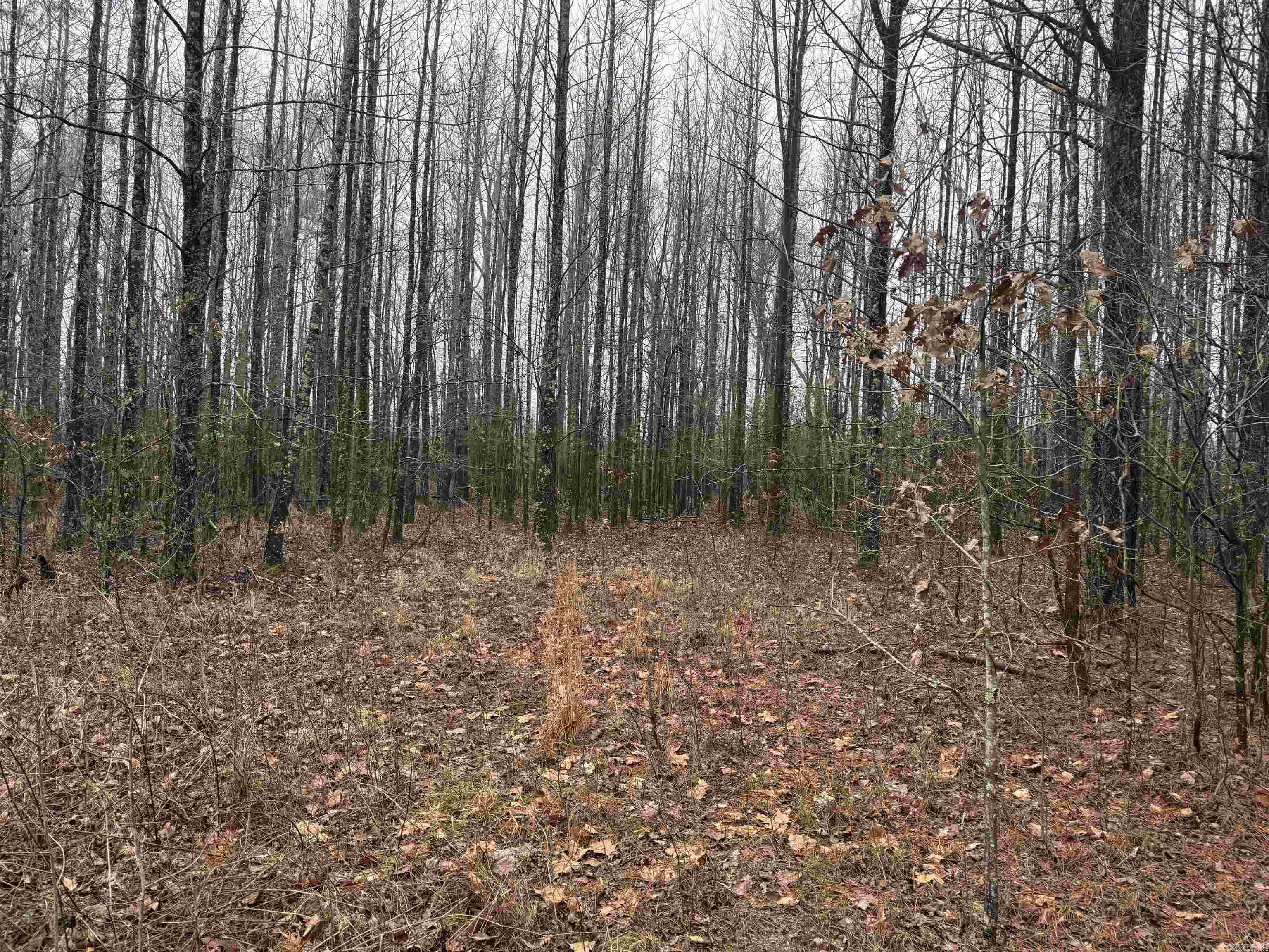 000  County Road 912  Mist, AR