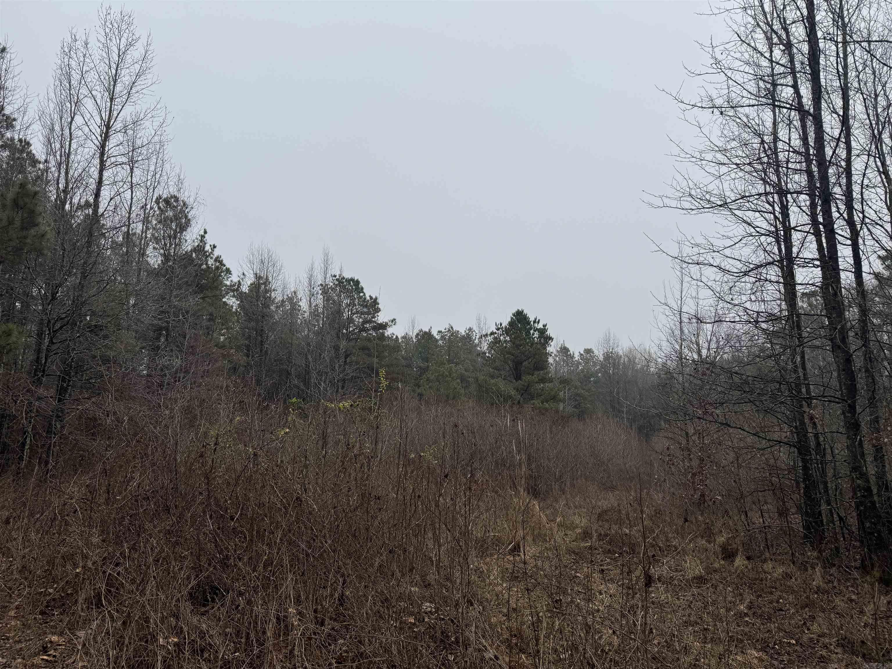 000  County Road 912  Mist, AR