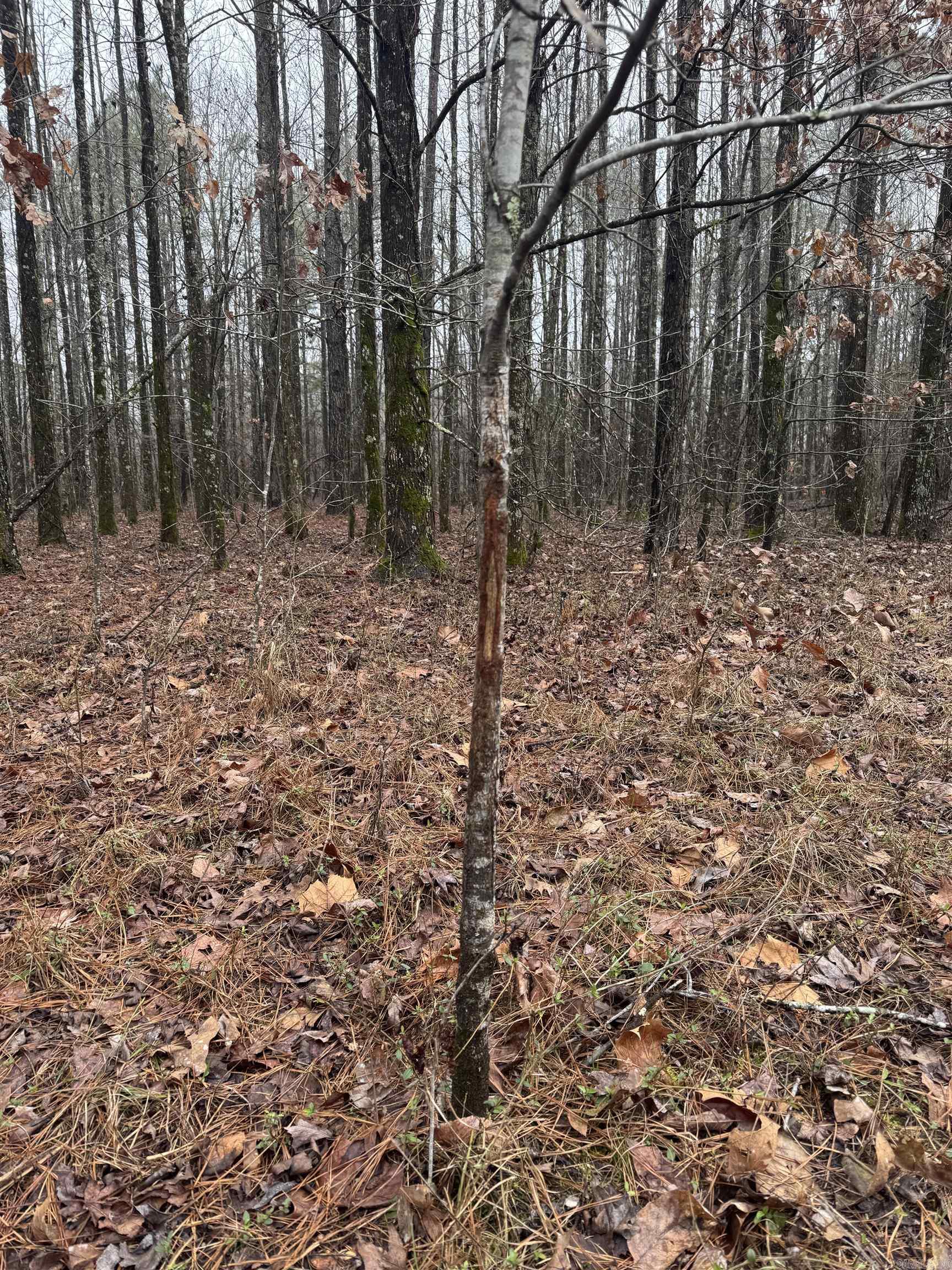 000  County Road 912  Mist, AR