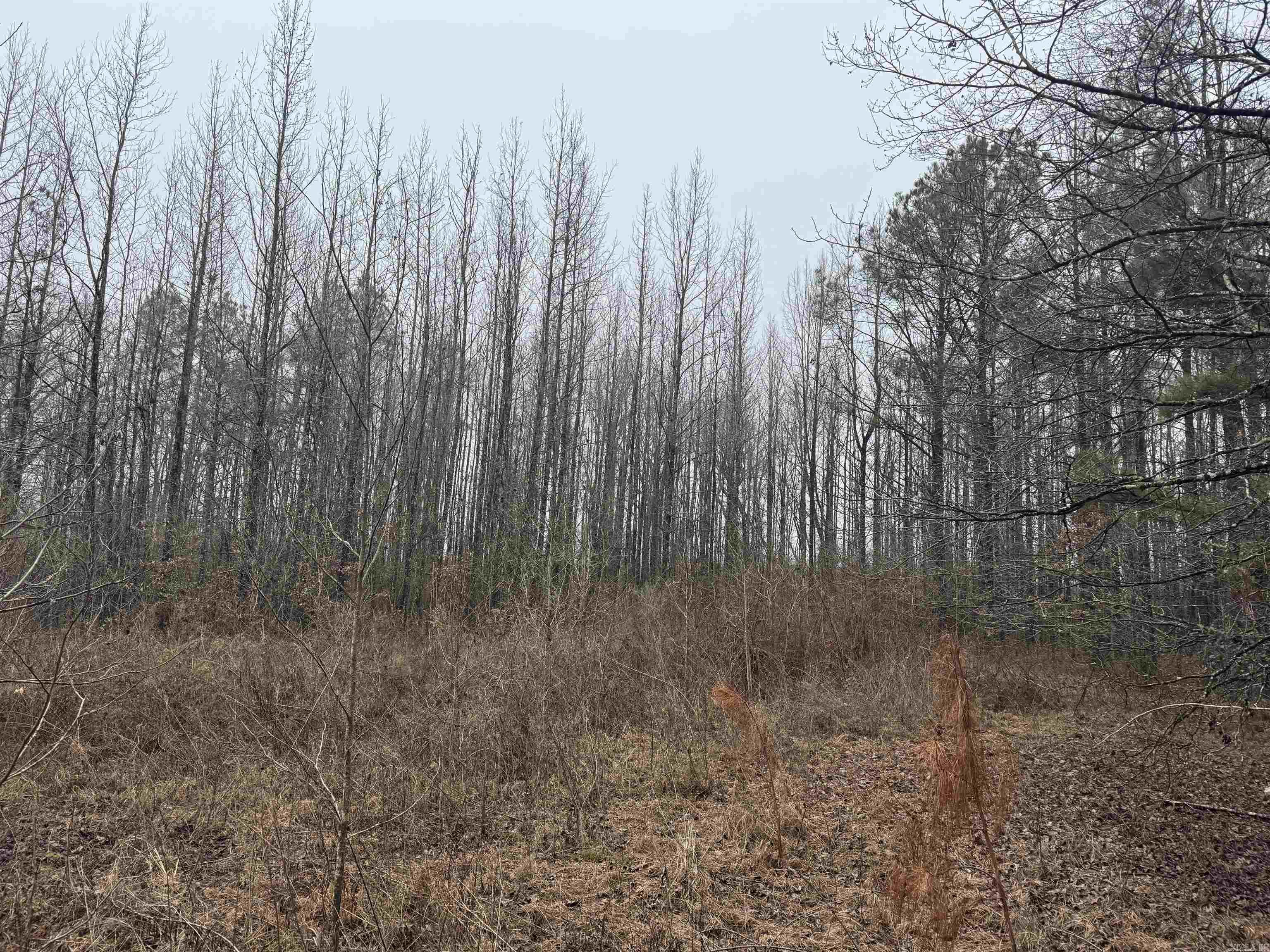 000  County Road 912  Mist, AR