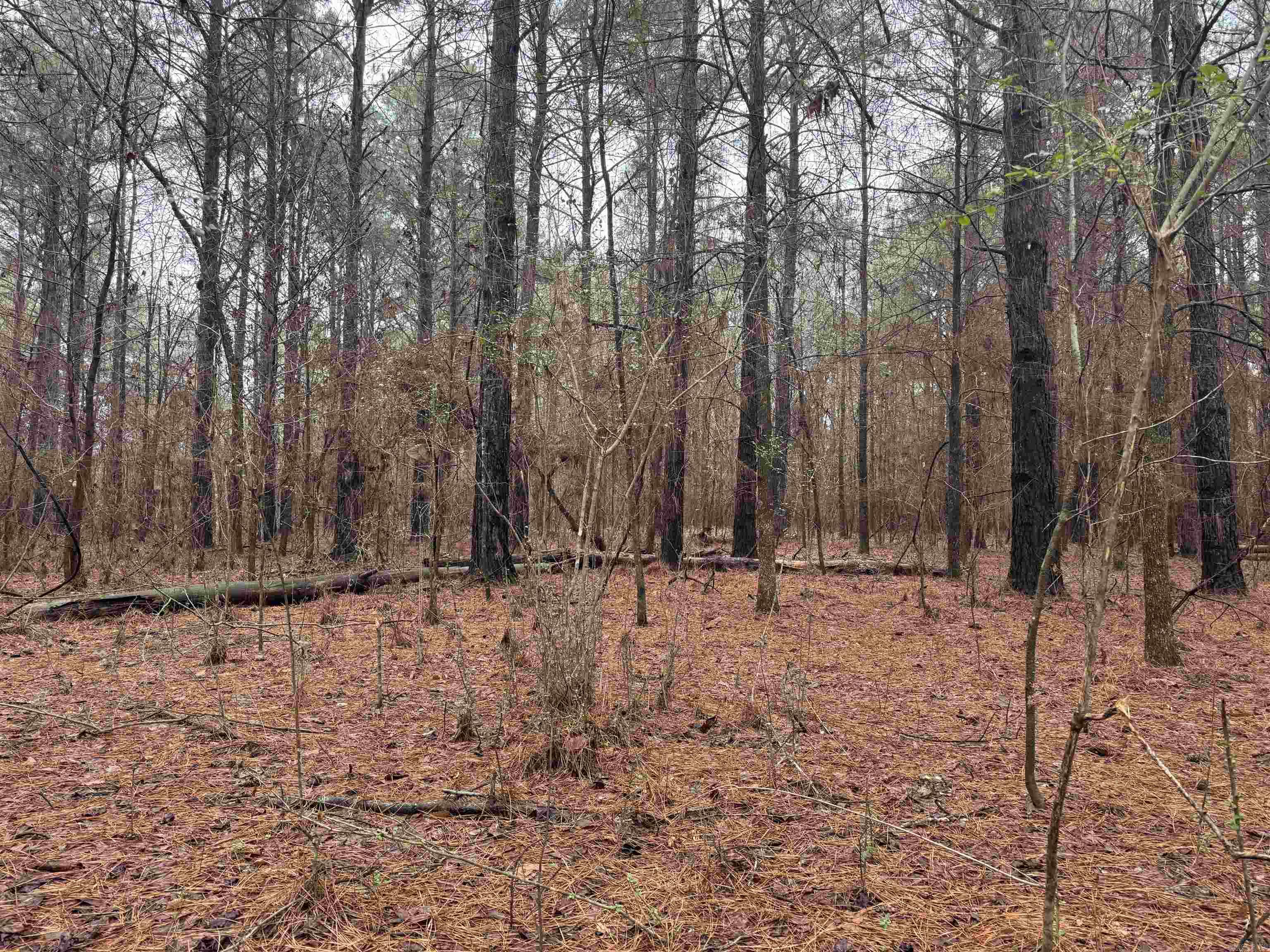 000  County Road 912  Mist, AR
