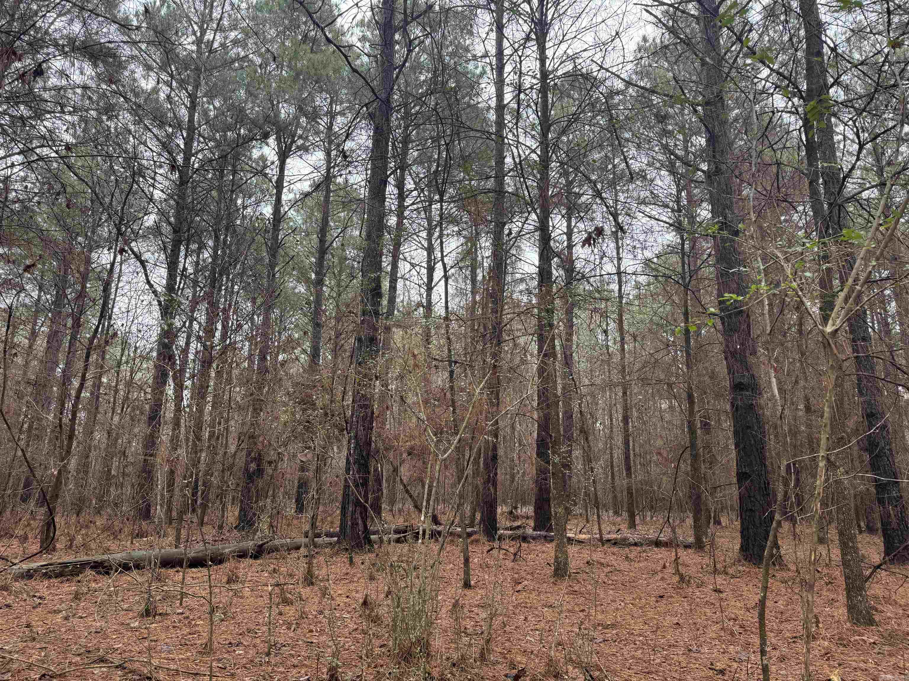 000  County Road 912  Mist, AR