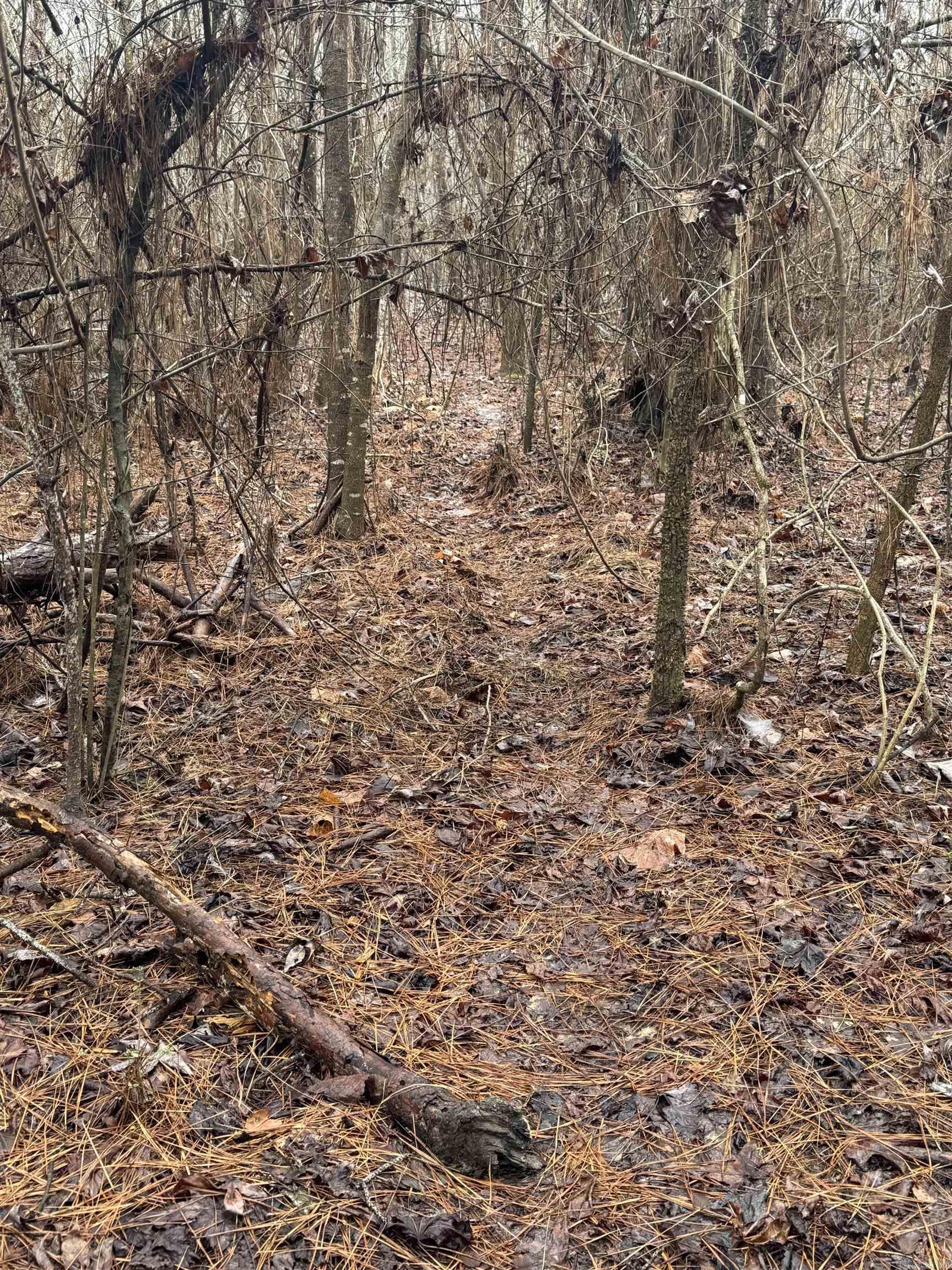 000  County Road 912  Mist, AR