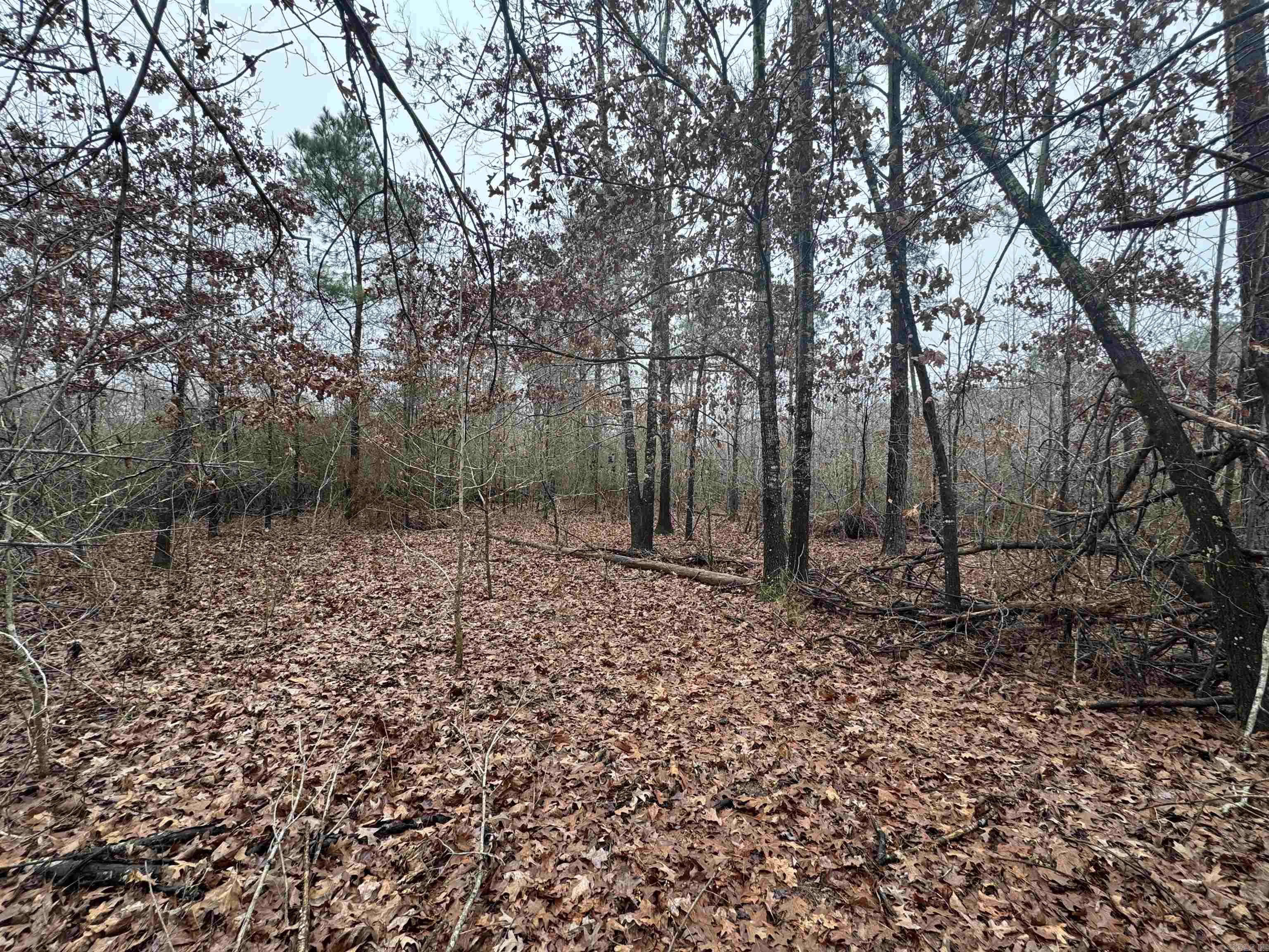 000  County Road 912  Mist, AR