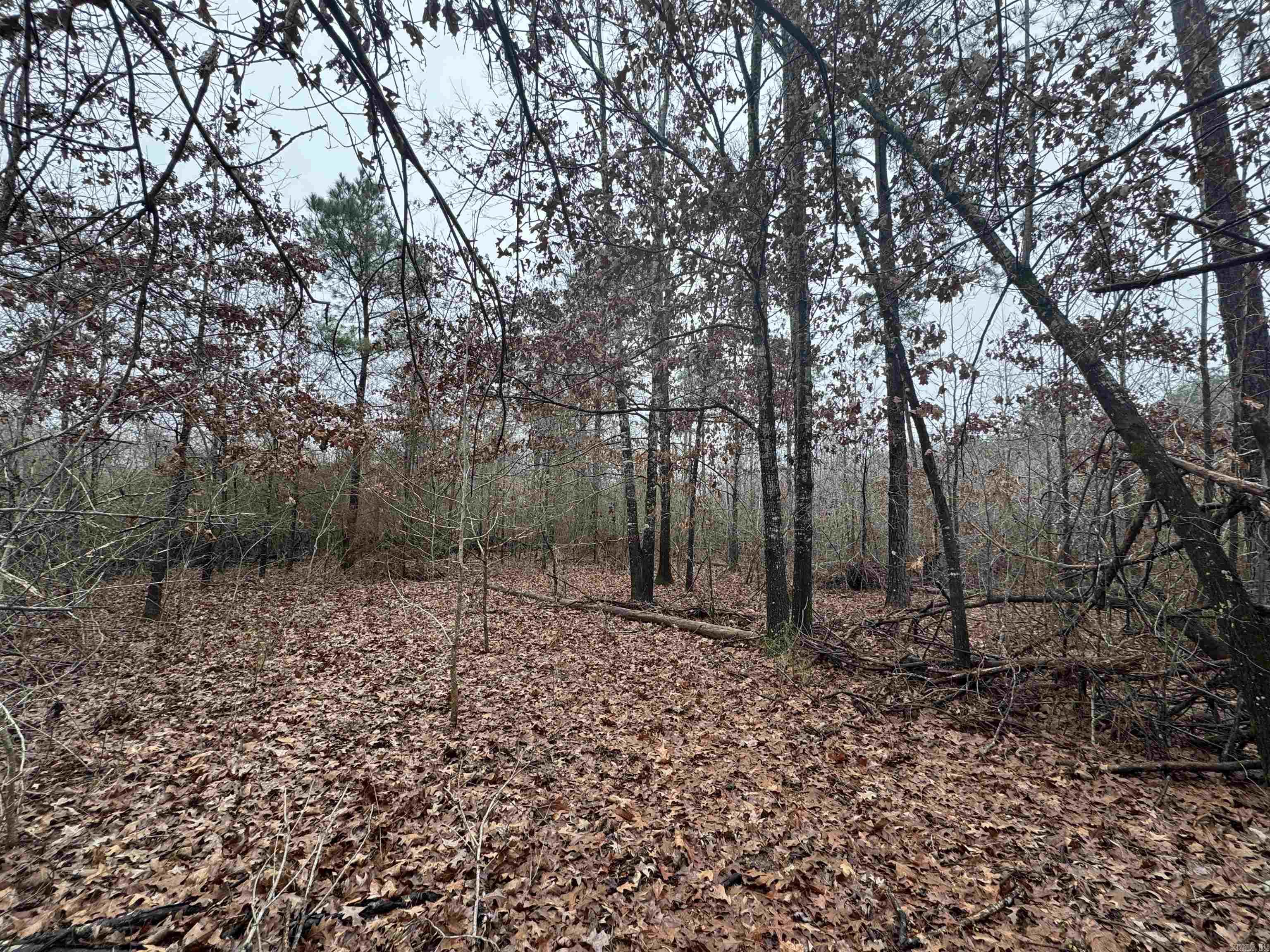 000  County Road 912  Mist, AR