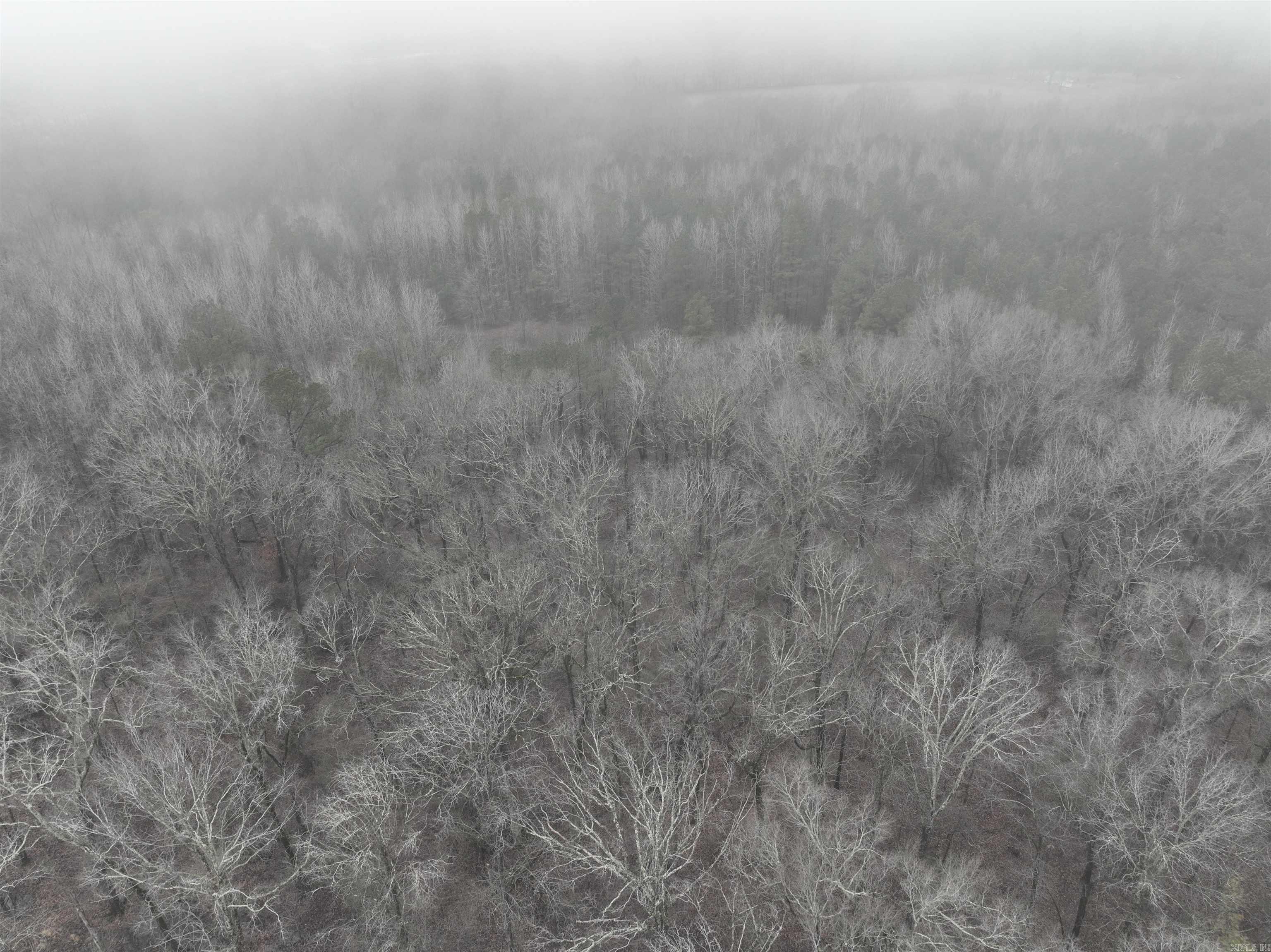 000  County Road 912  Mist, AR
