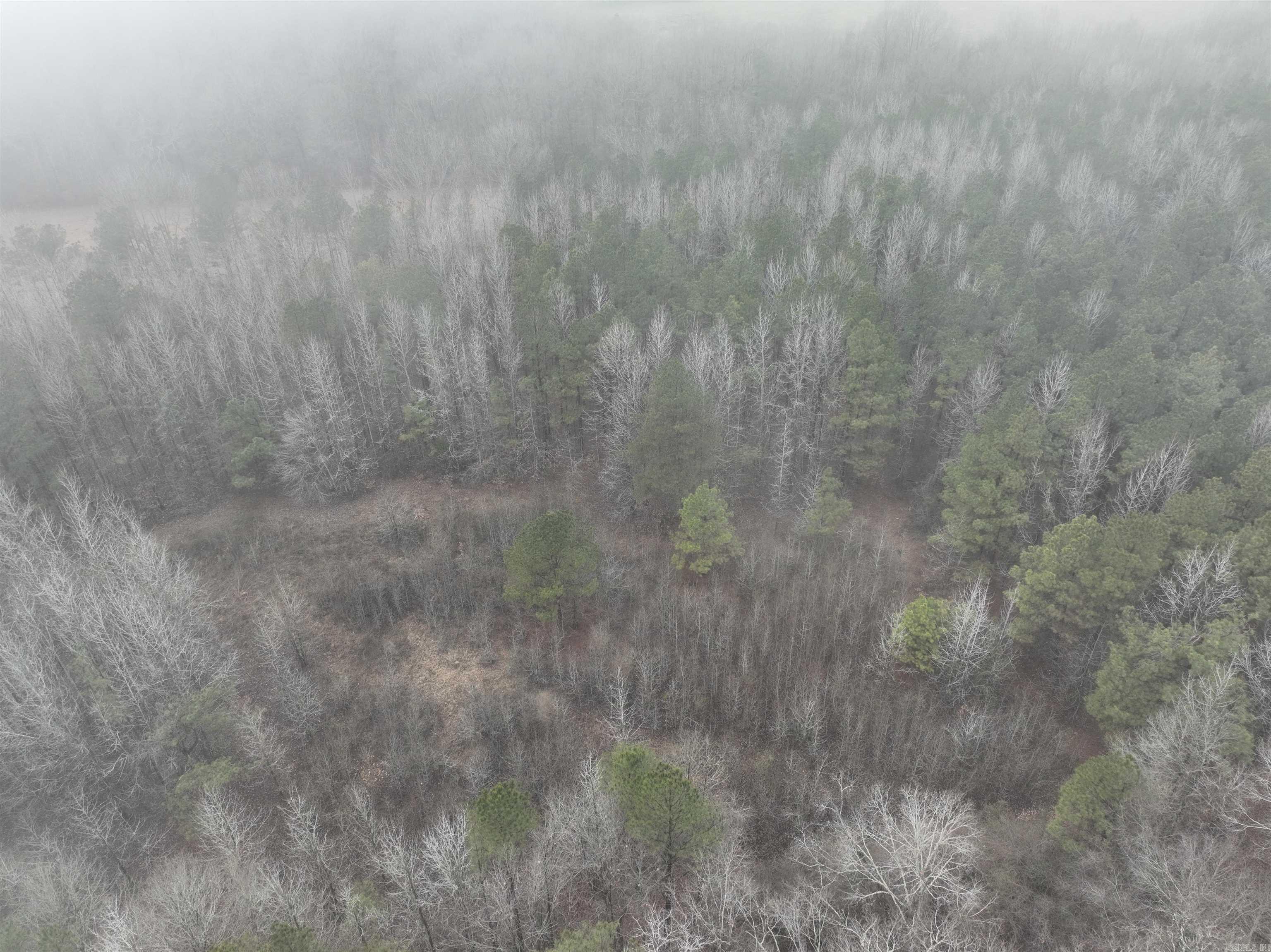 000  County Road 912  Mist, AR