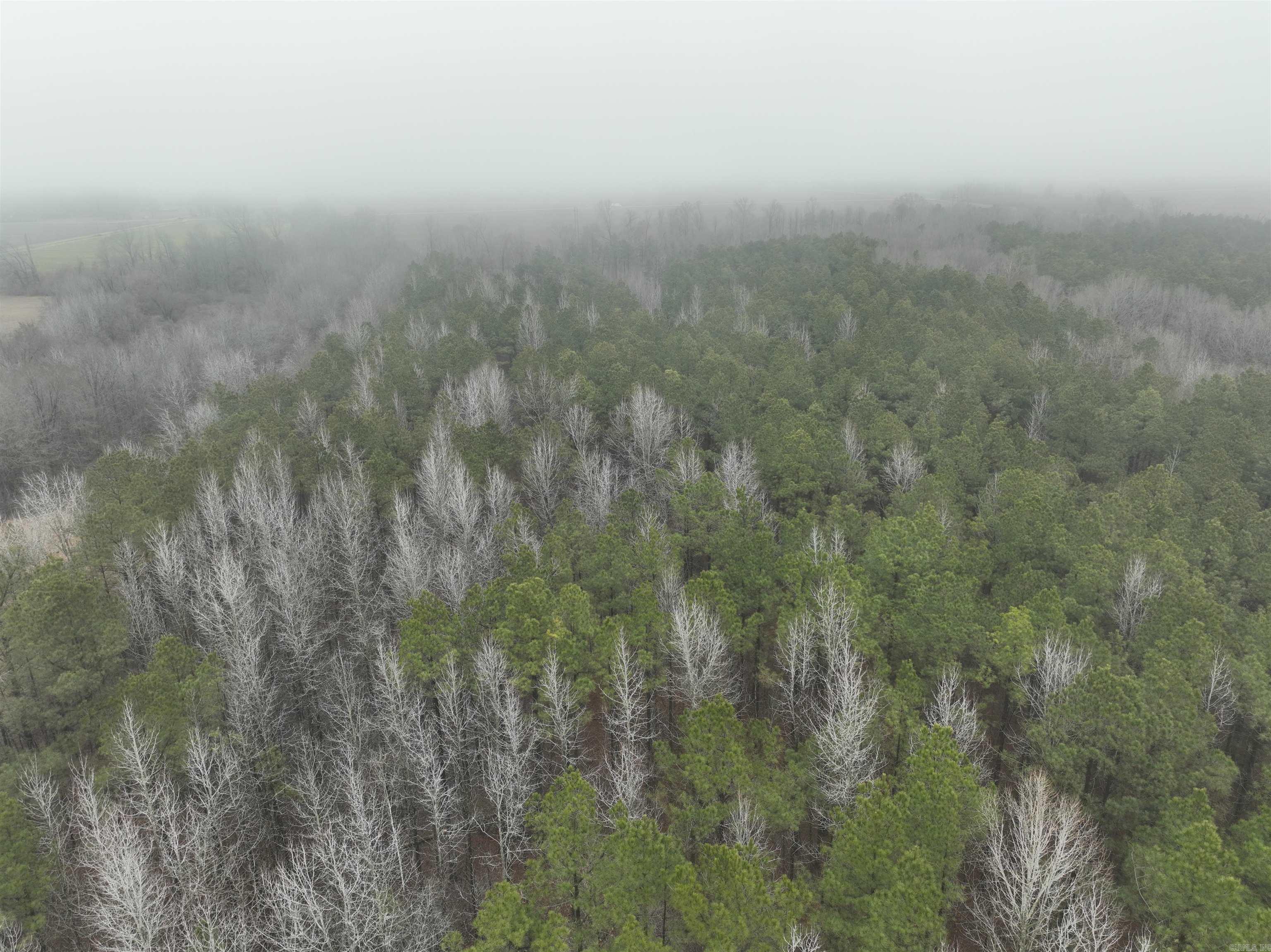000  County Road 912  Mist, AR