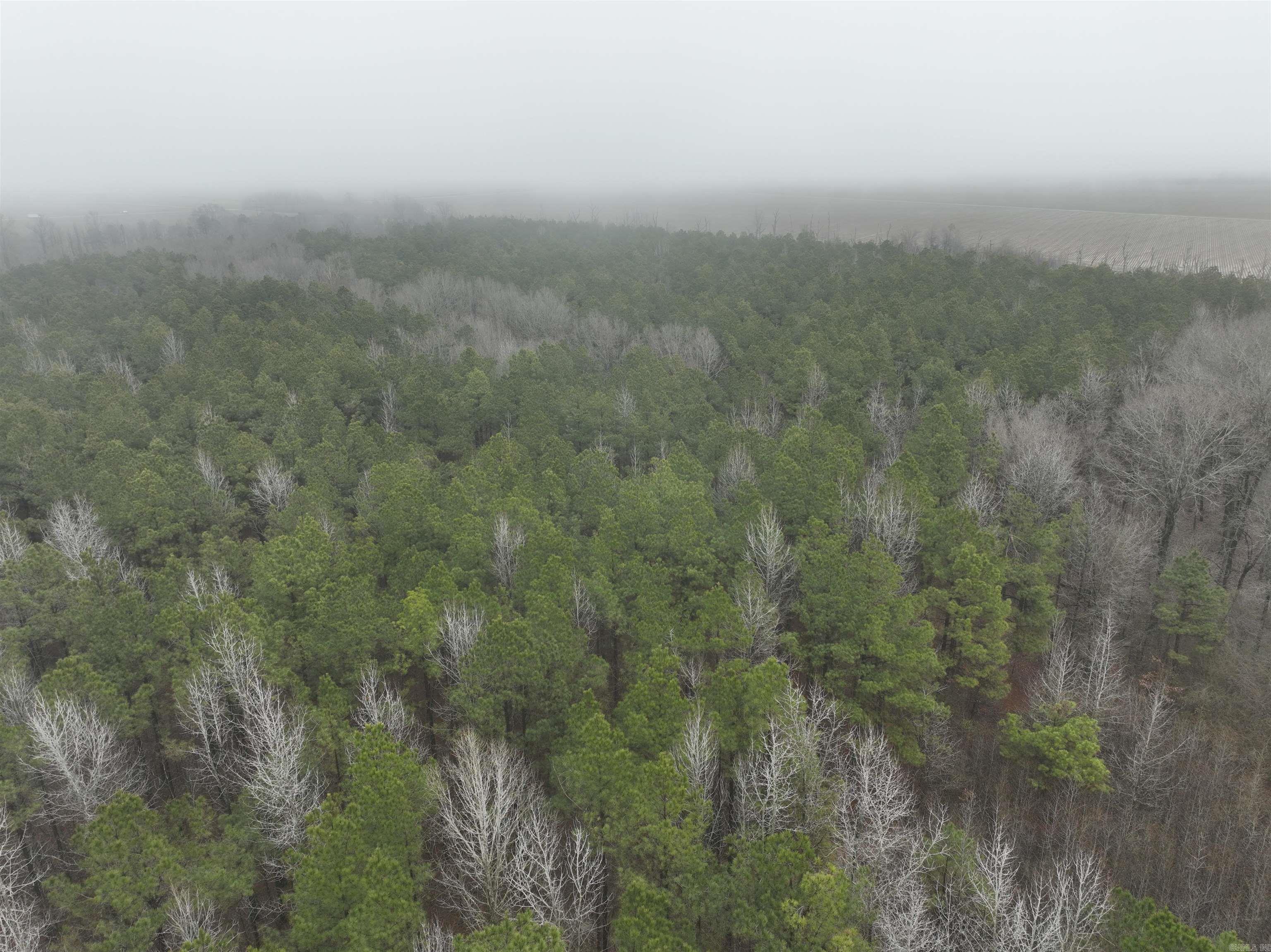 000  County Road 912  Mist, AR