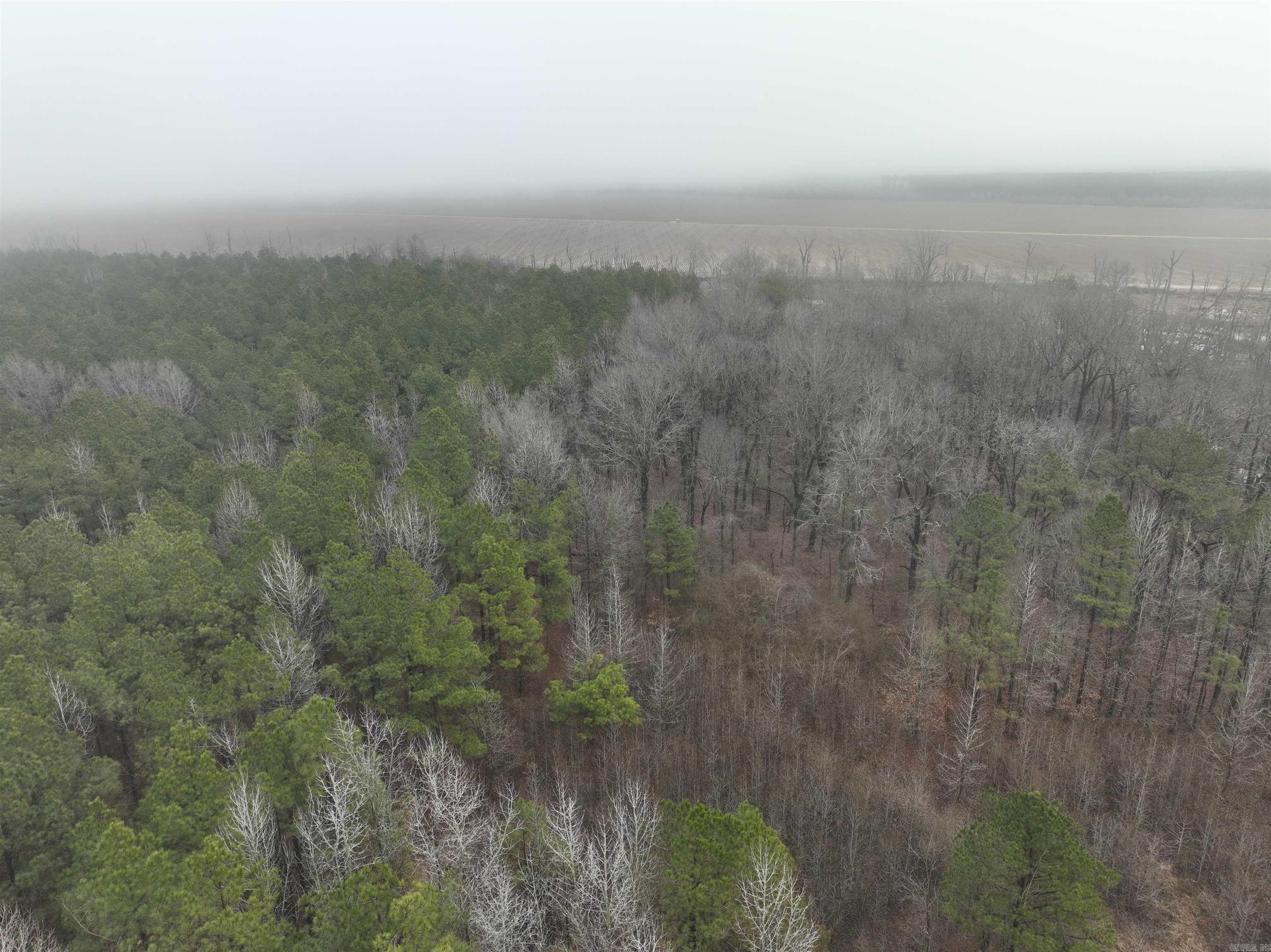 000  County Road 912  Mist, AR