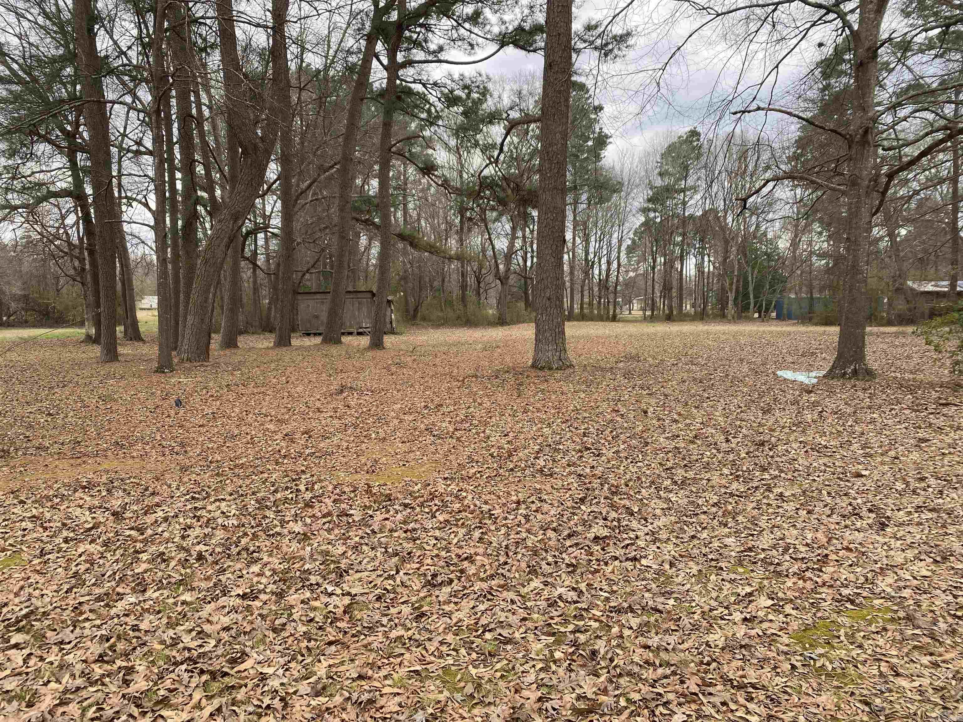 204  Williams St  Crossett, AR