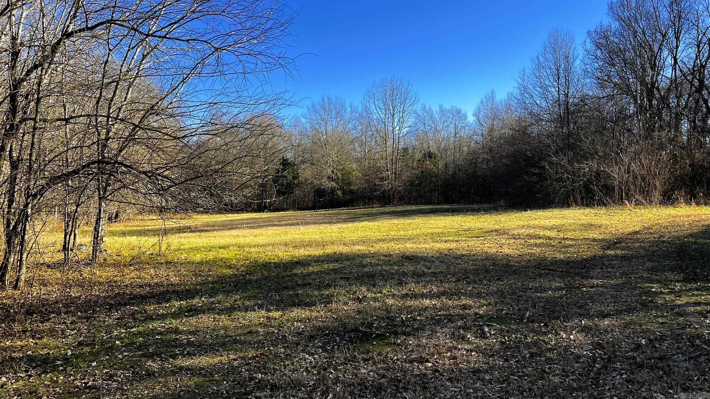 255  Adrian Mc  Tichnor, AR