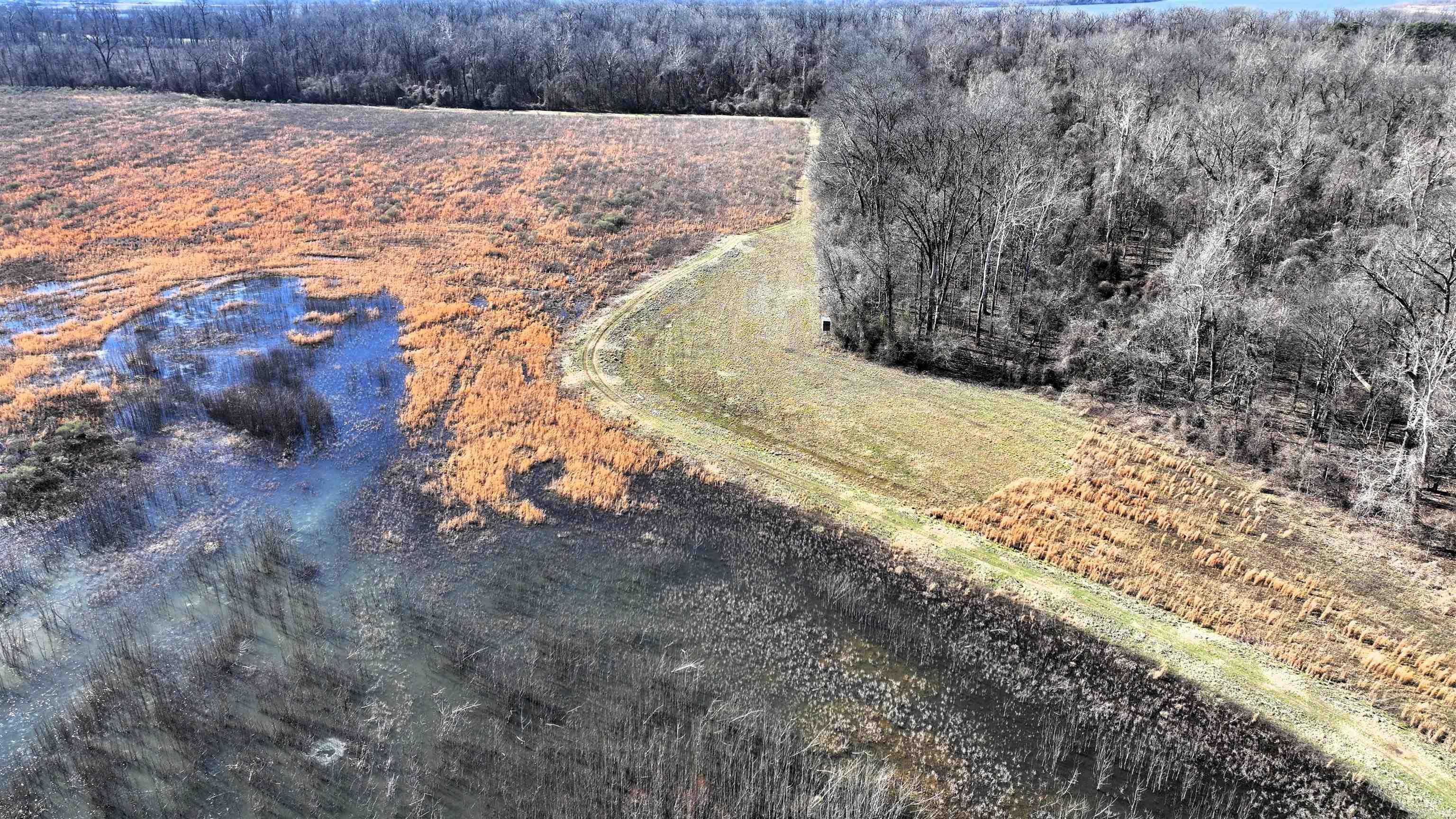 255  Adrian Mc  Tichnor, AR