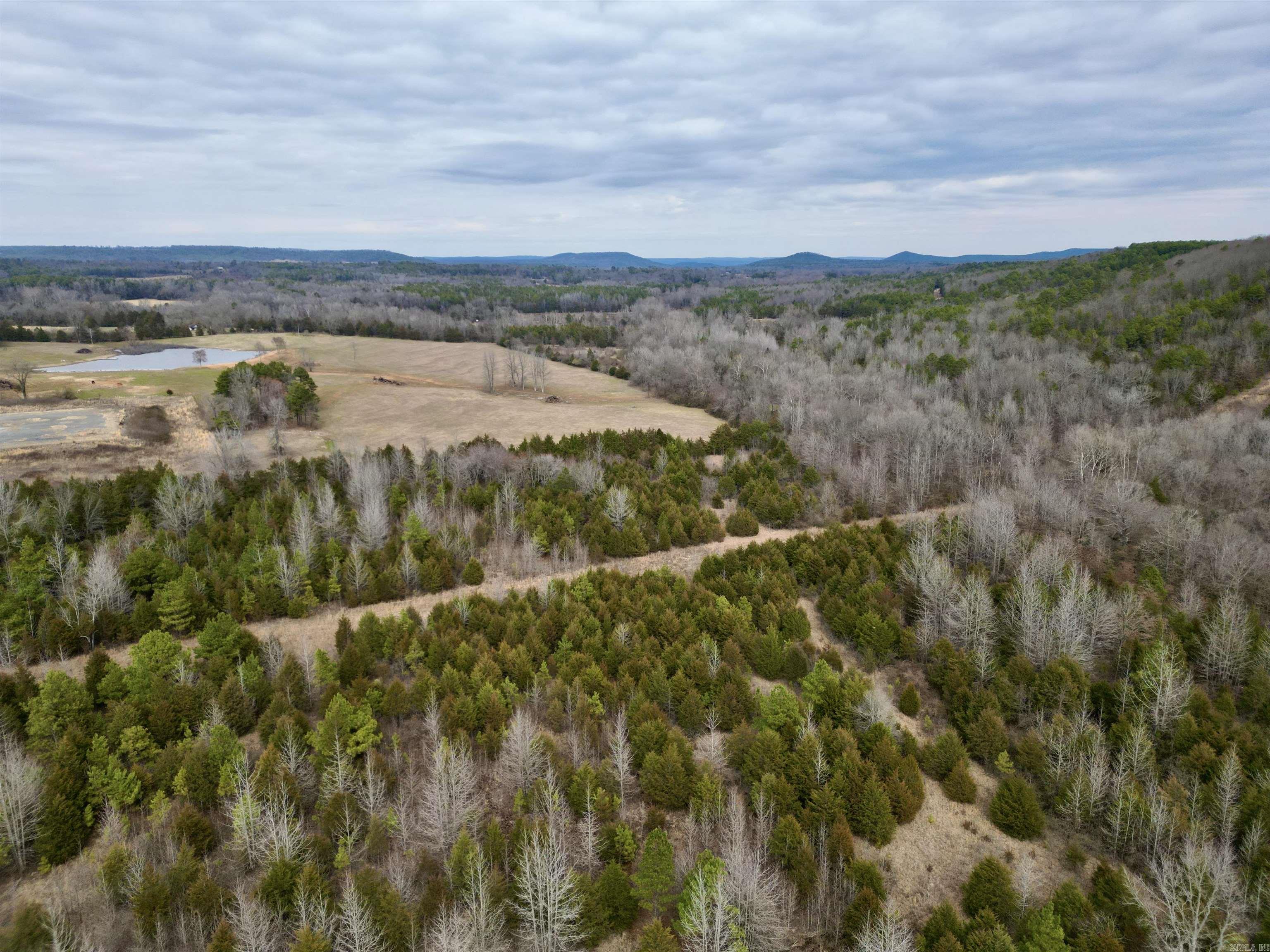 000  Long  Bee Branch, AR