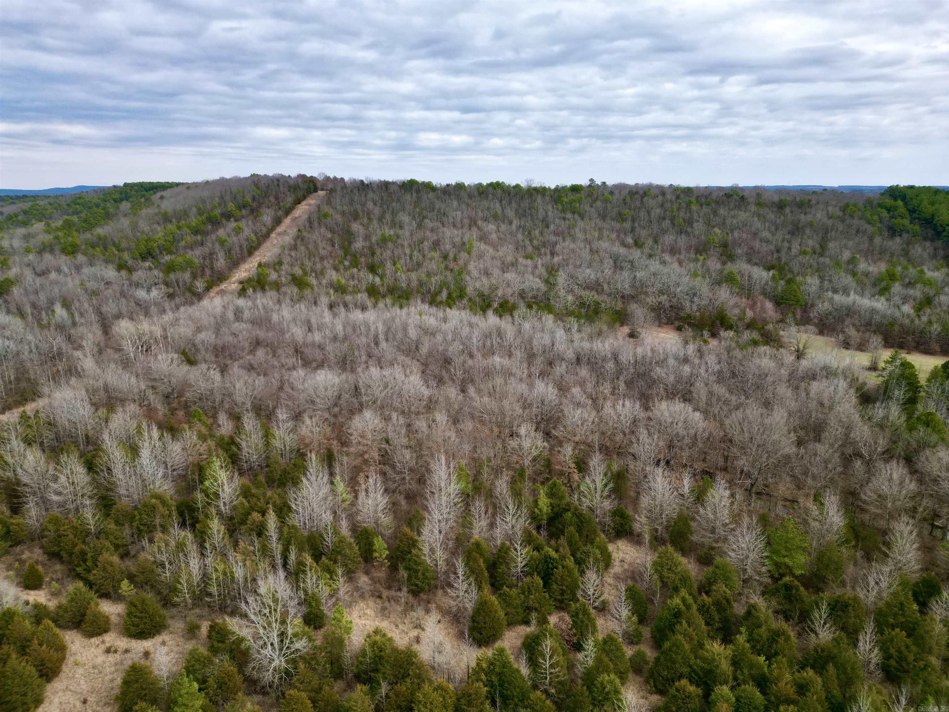 000  Long  Bee Branch, AR
