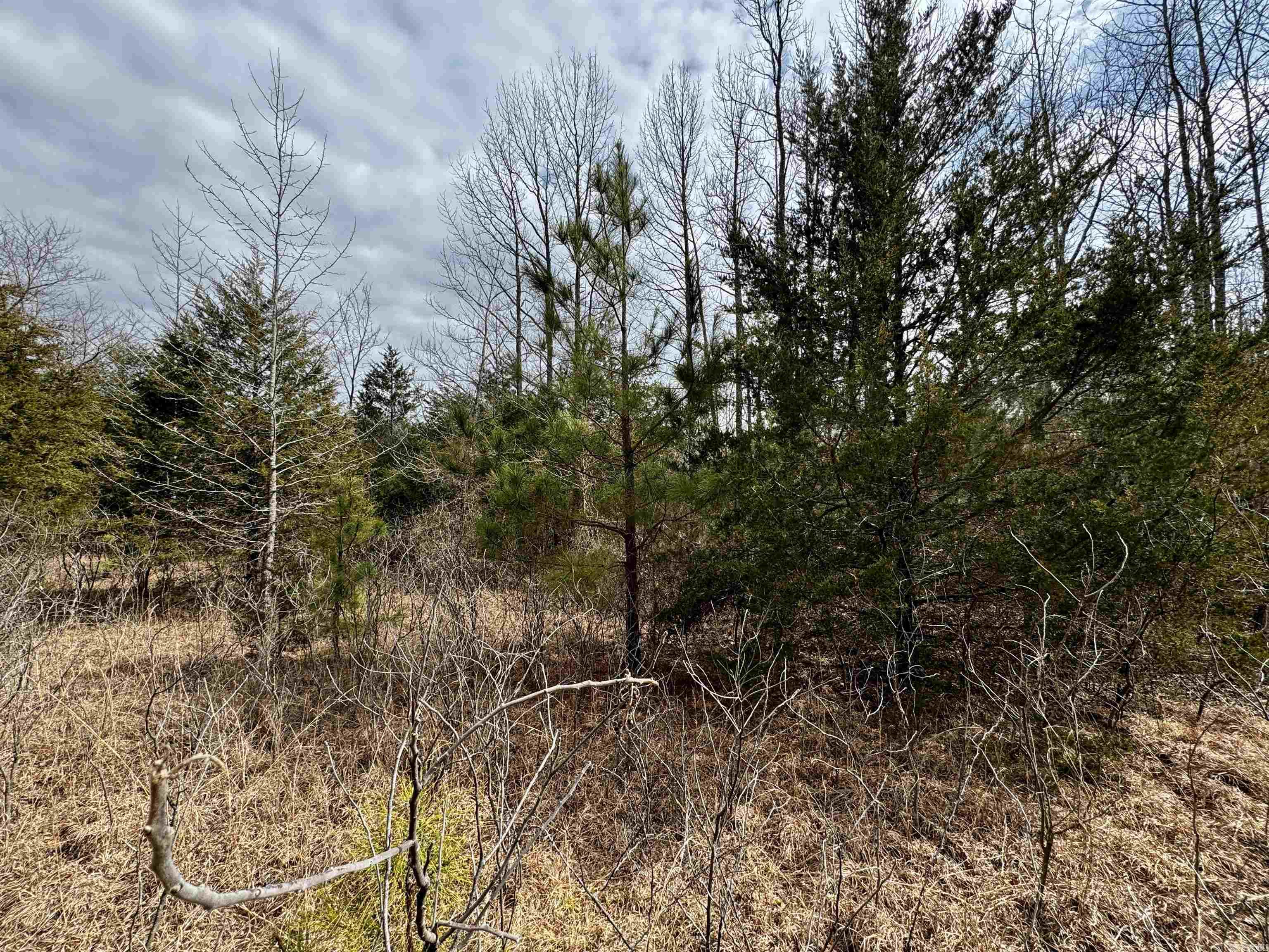 000  Long  Bee Branch, AR