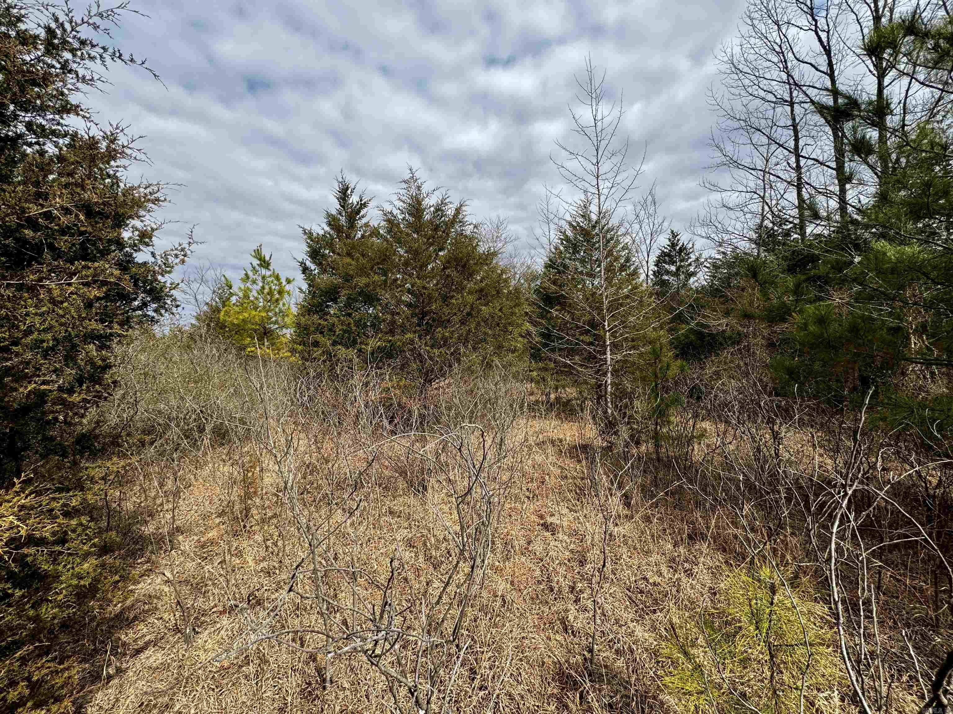 000  Long  Bee Branch, AR