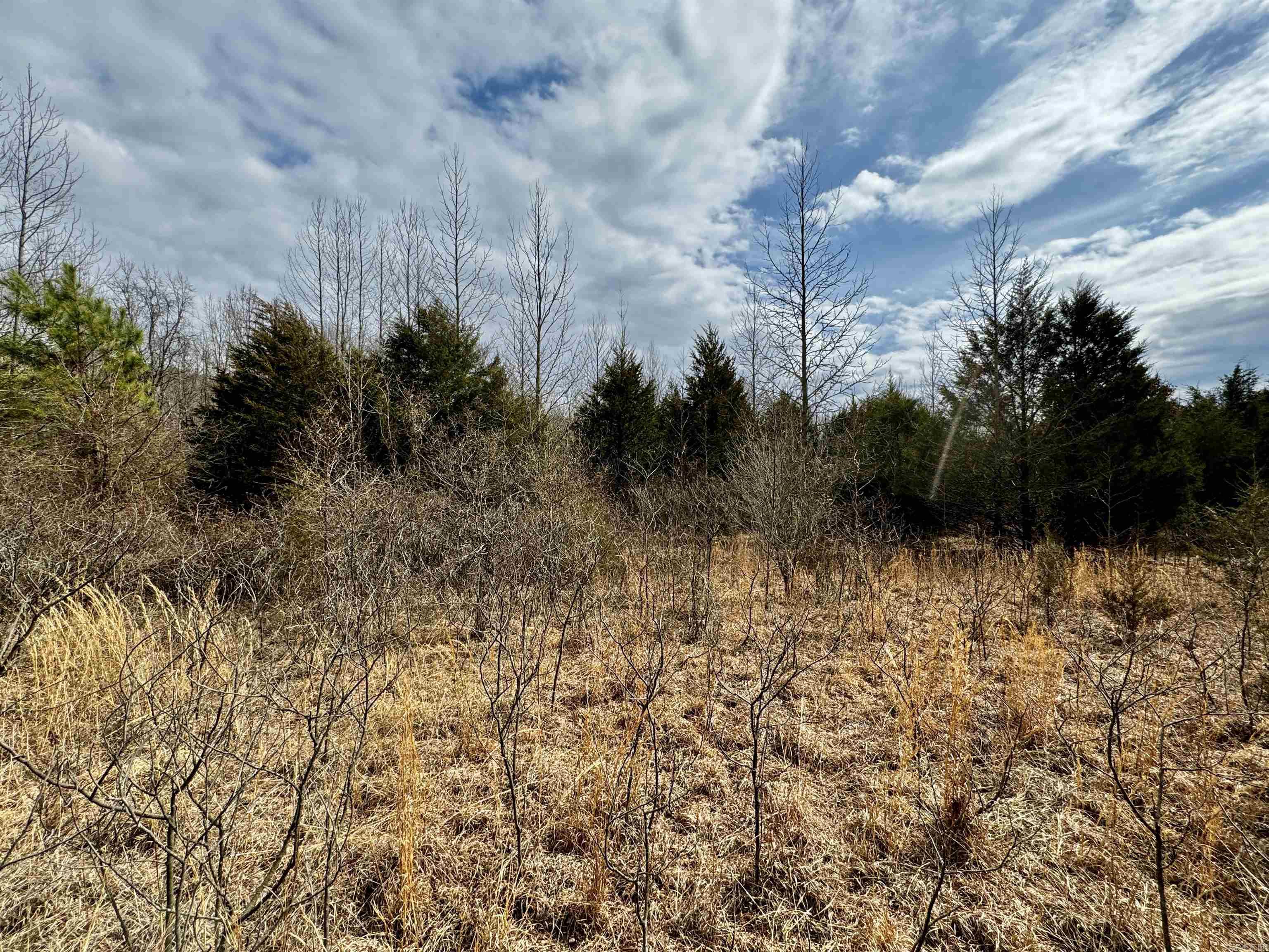 000  Long  Bee Branch, AR