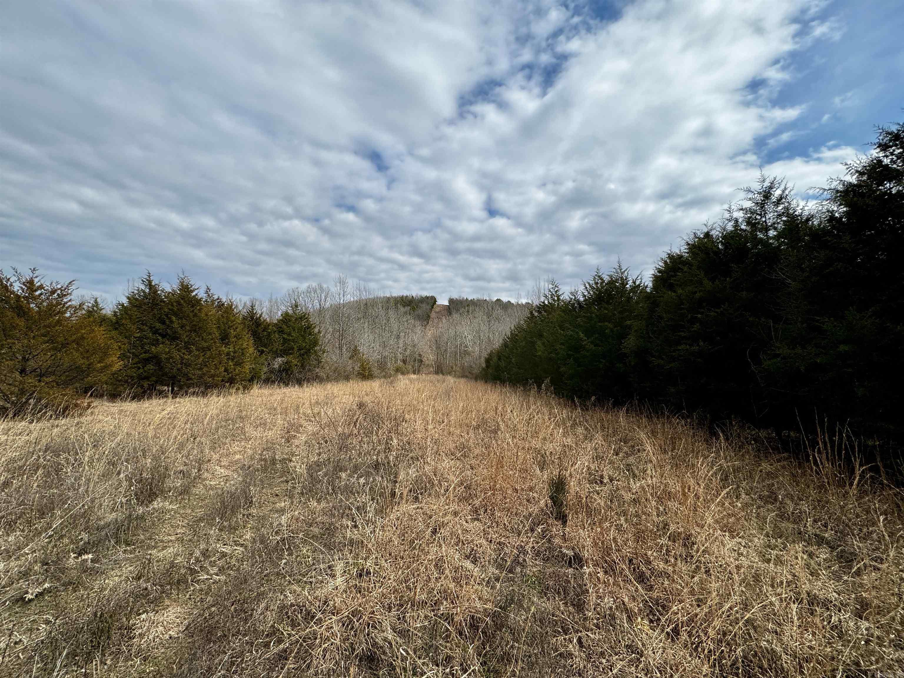 000  Long  Bee Branch, AR