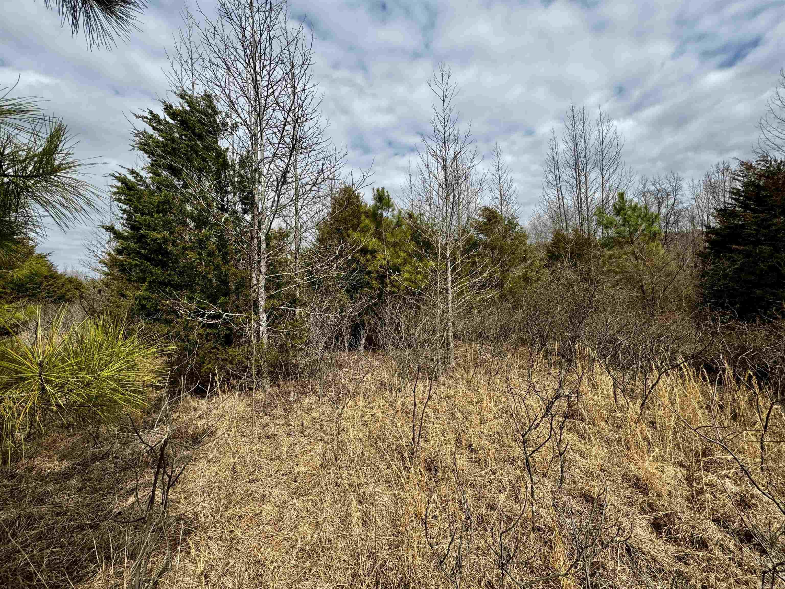 000  Long  Bee Branch, AR