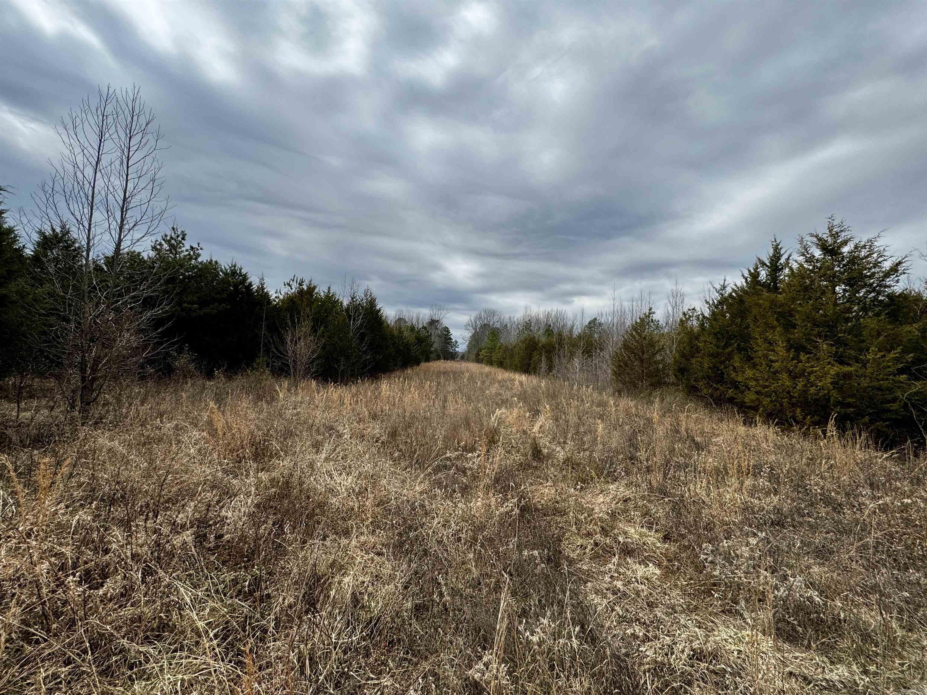 000  Long  Bee Branch, AR