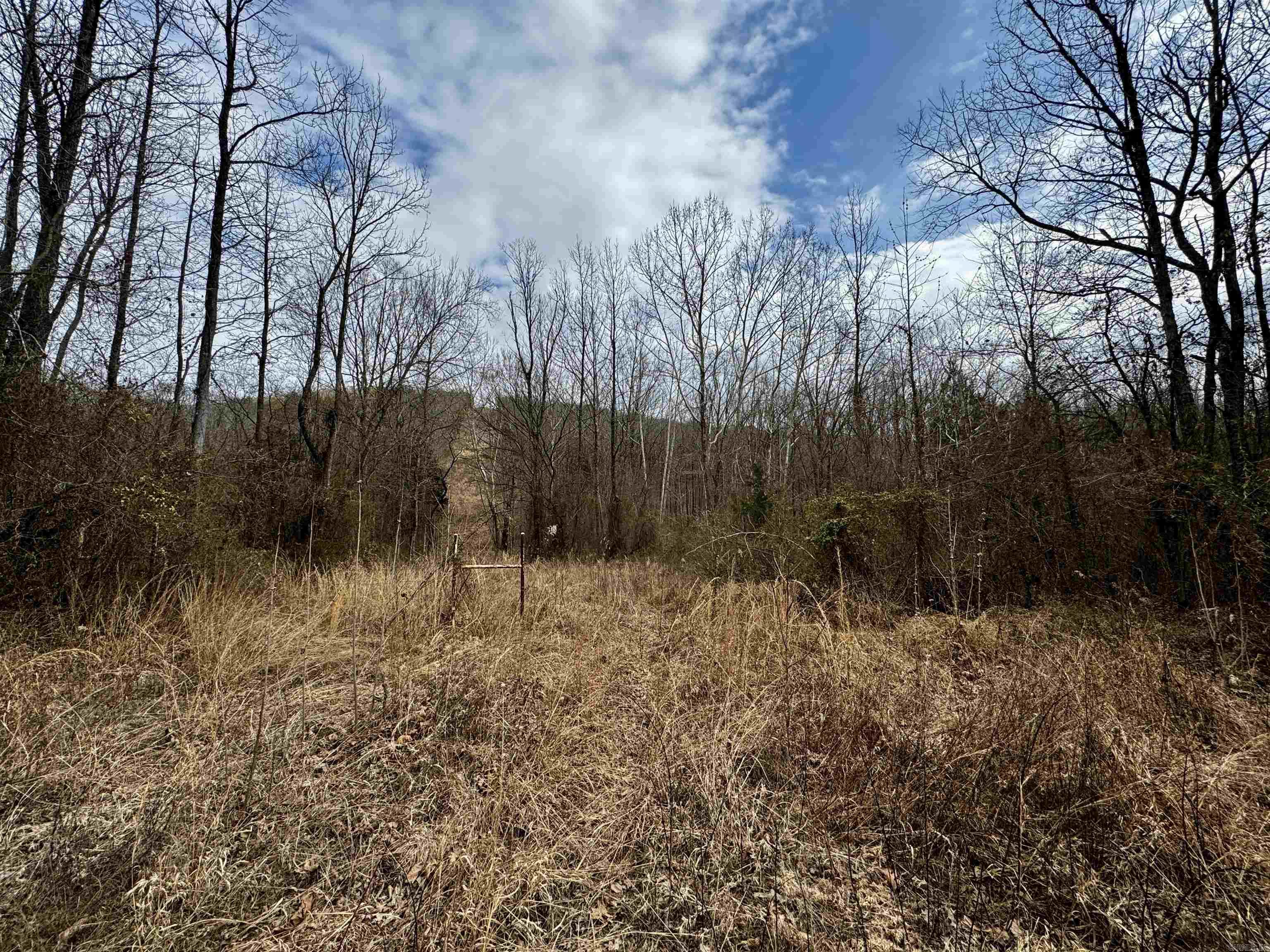 000  Long  Bee Branch, AR