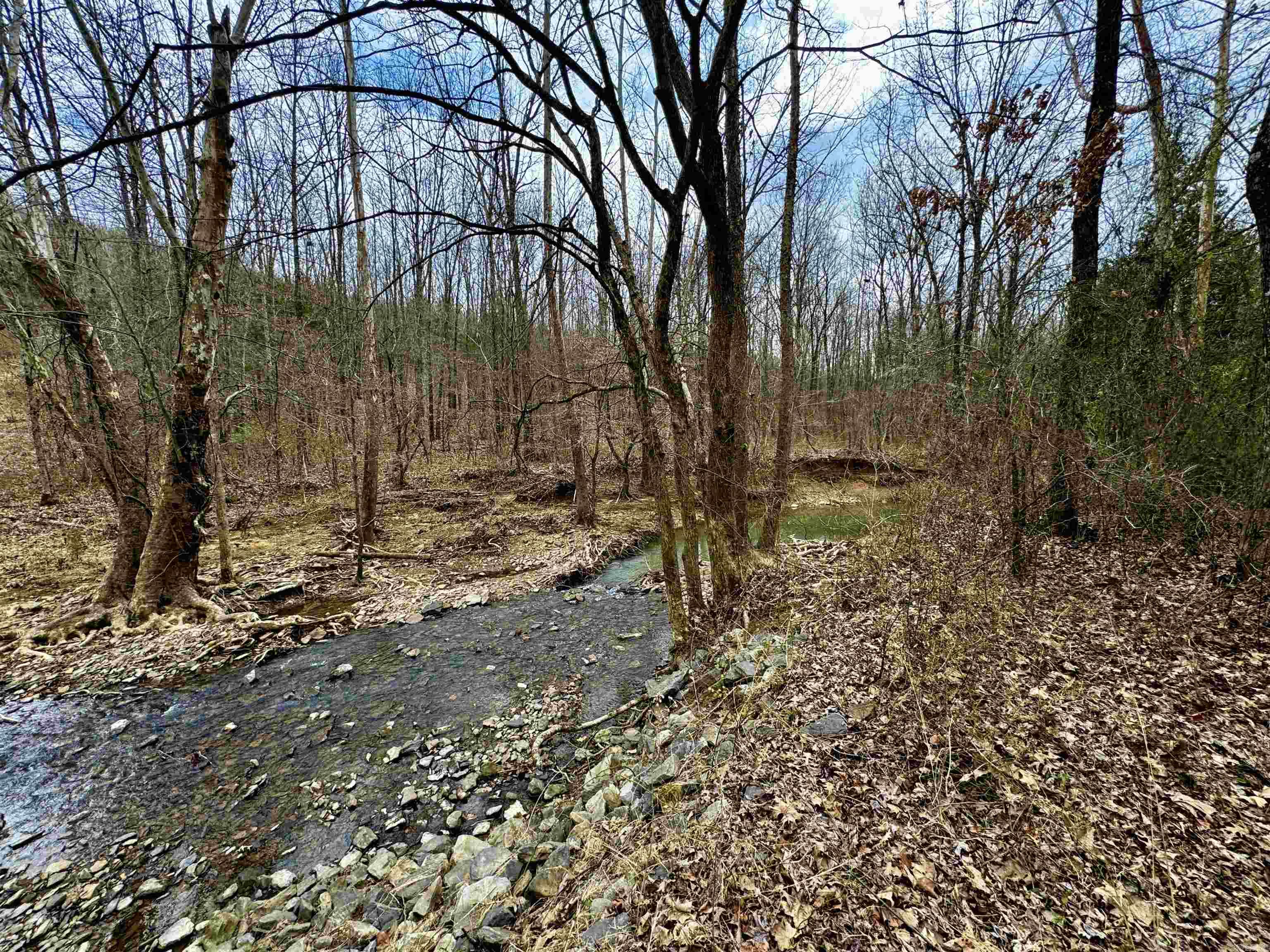 000  Long  Bee Branch, AR