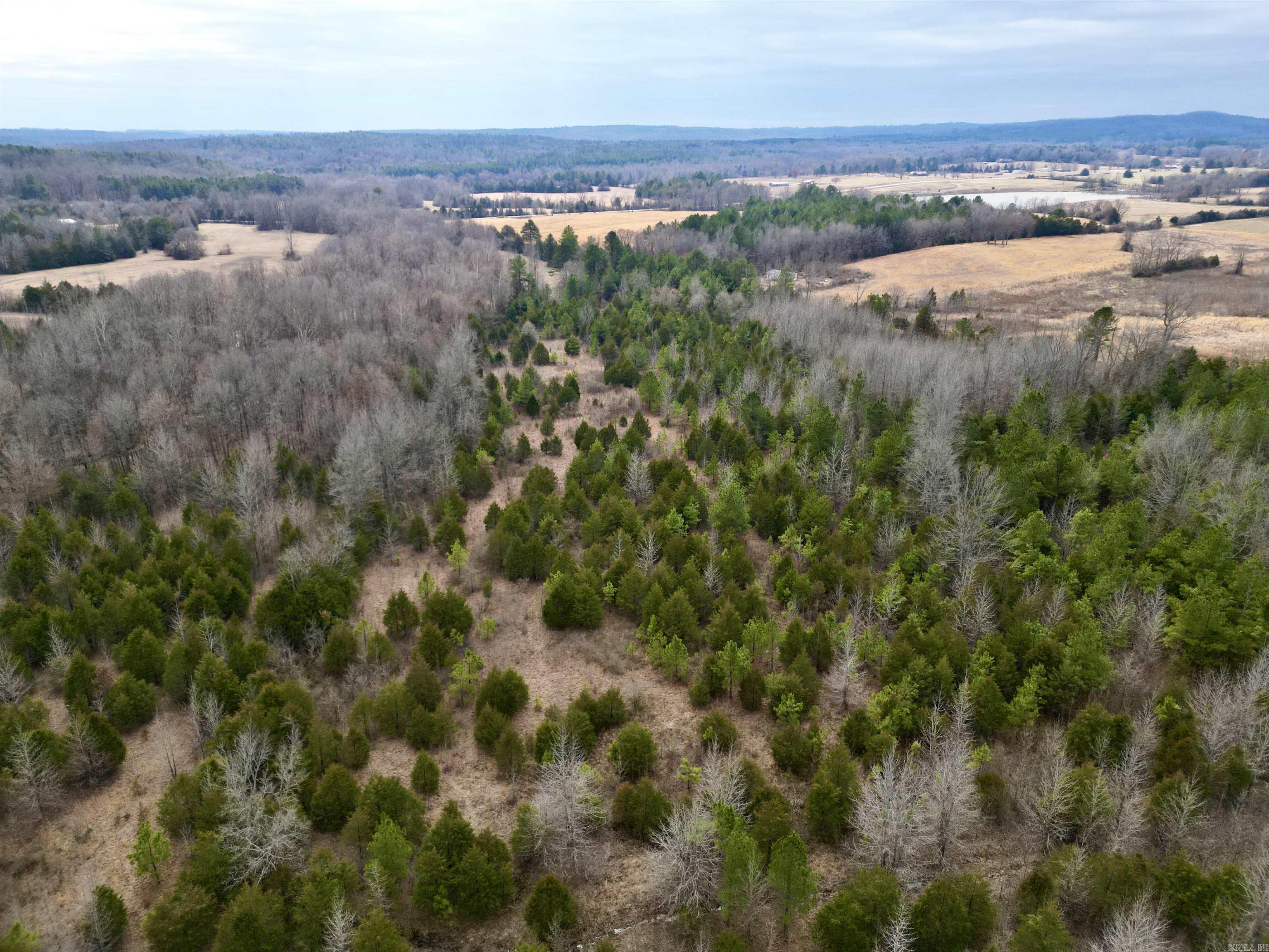 000  Long  Bee Branch, AR