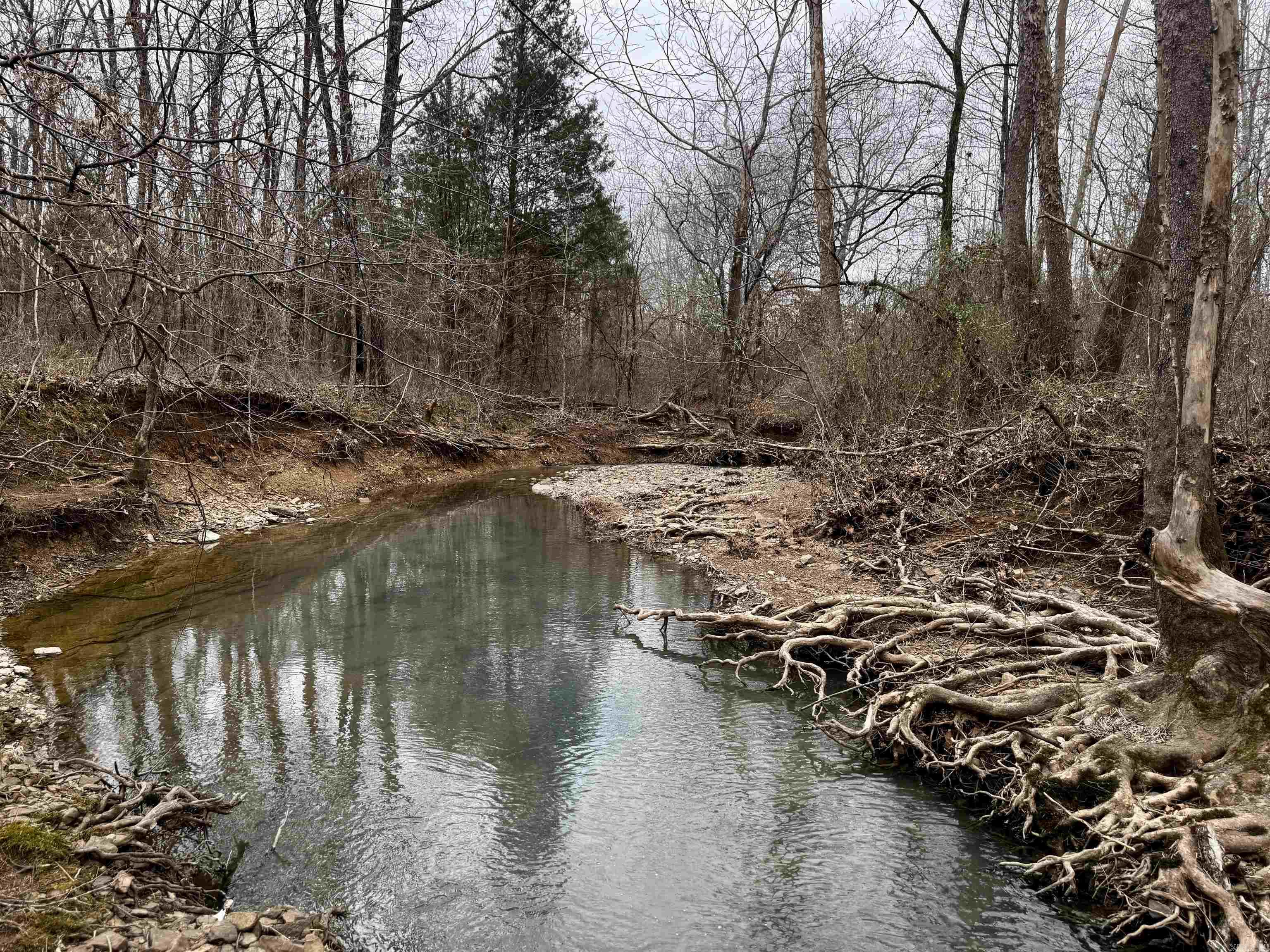 000  Long  Bee Branch, AR