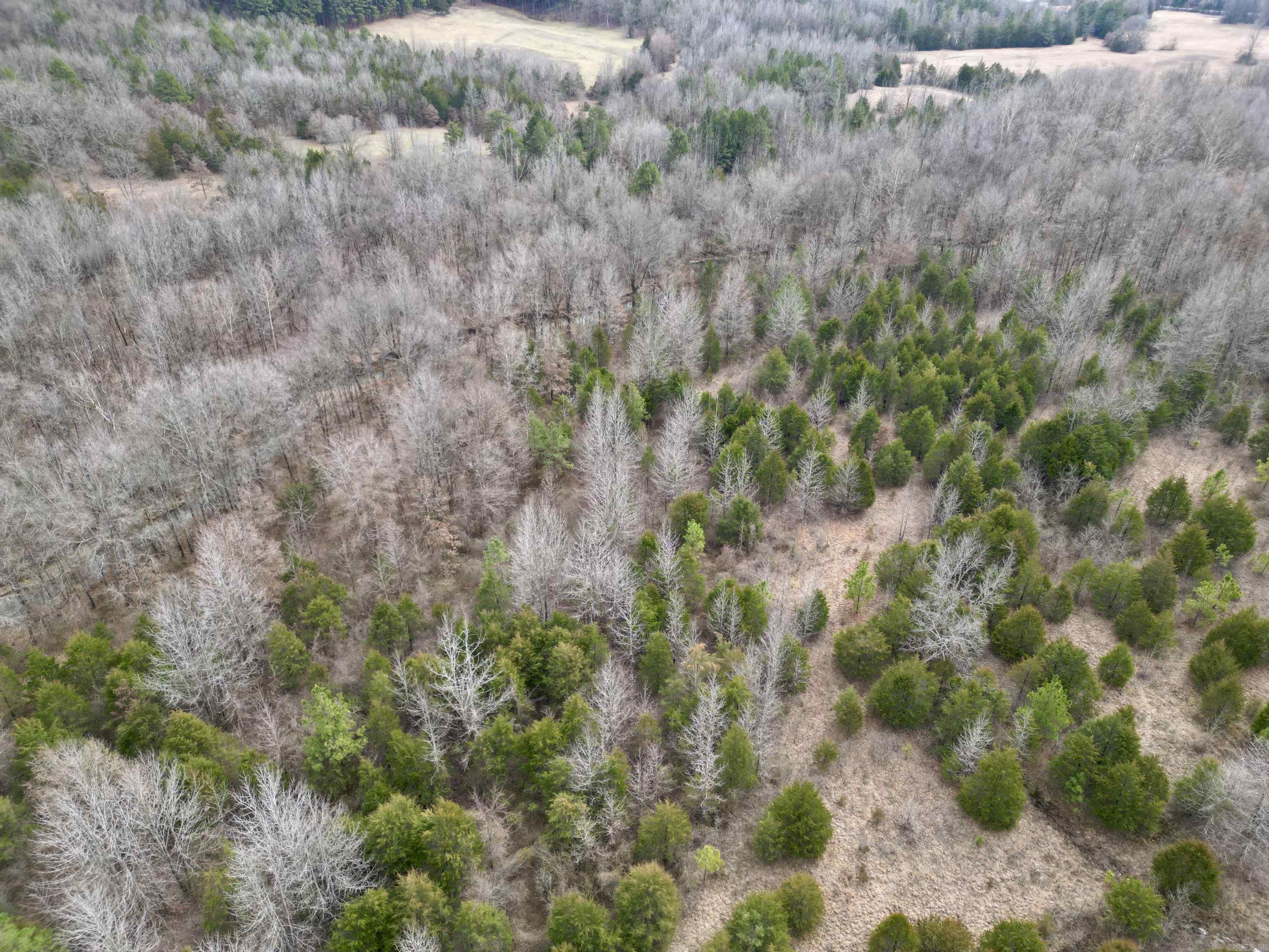 000  Long  Bee Branch, AR