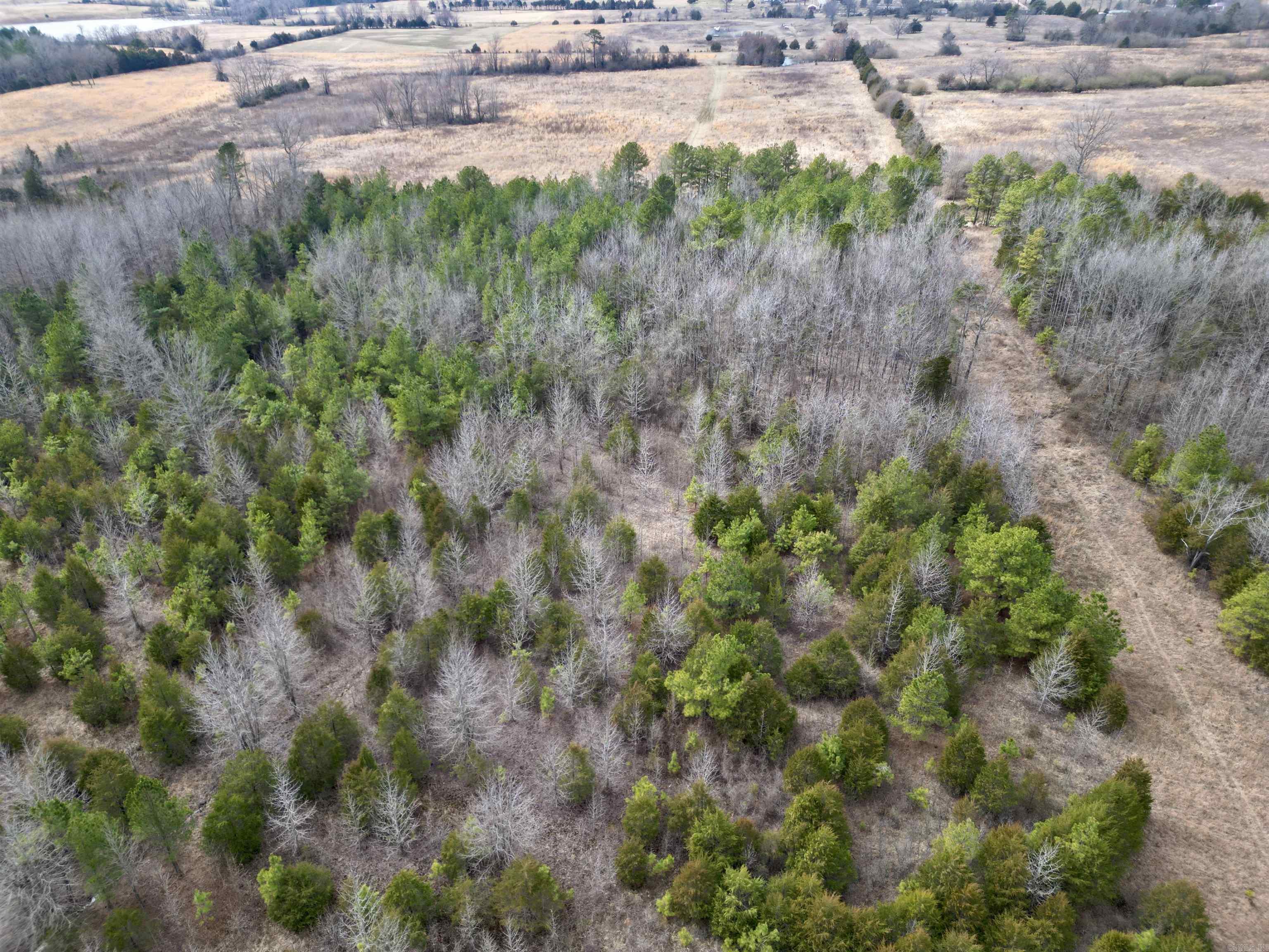 000  Long  Bee Branch, AR