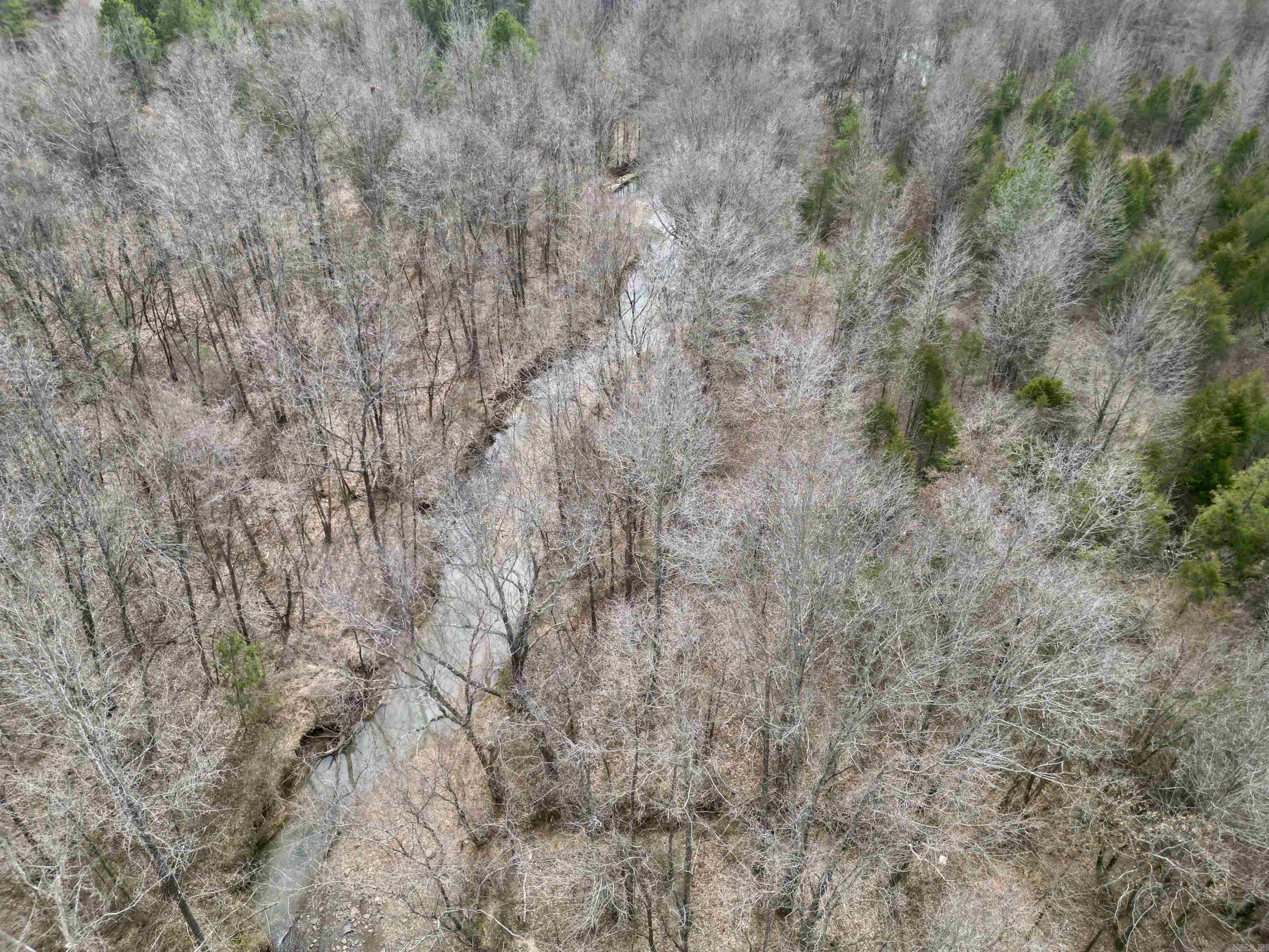 000  Long  Bee Branch, AR
