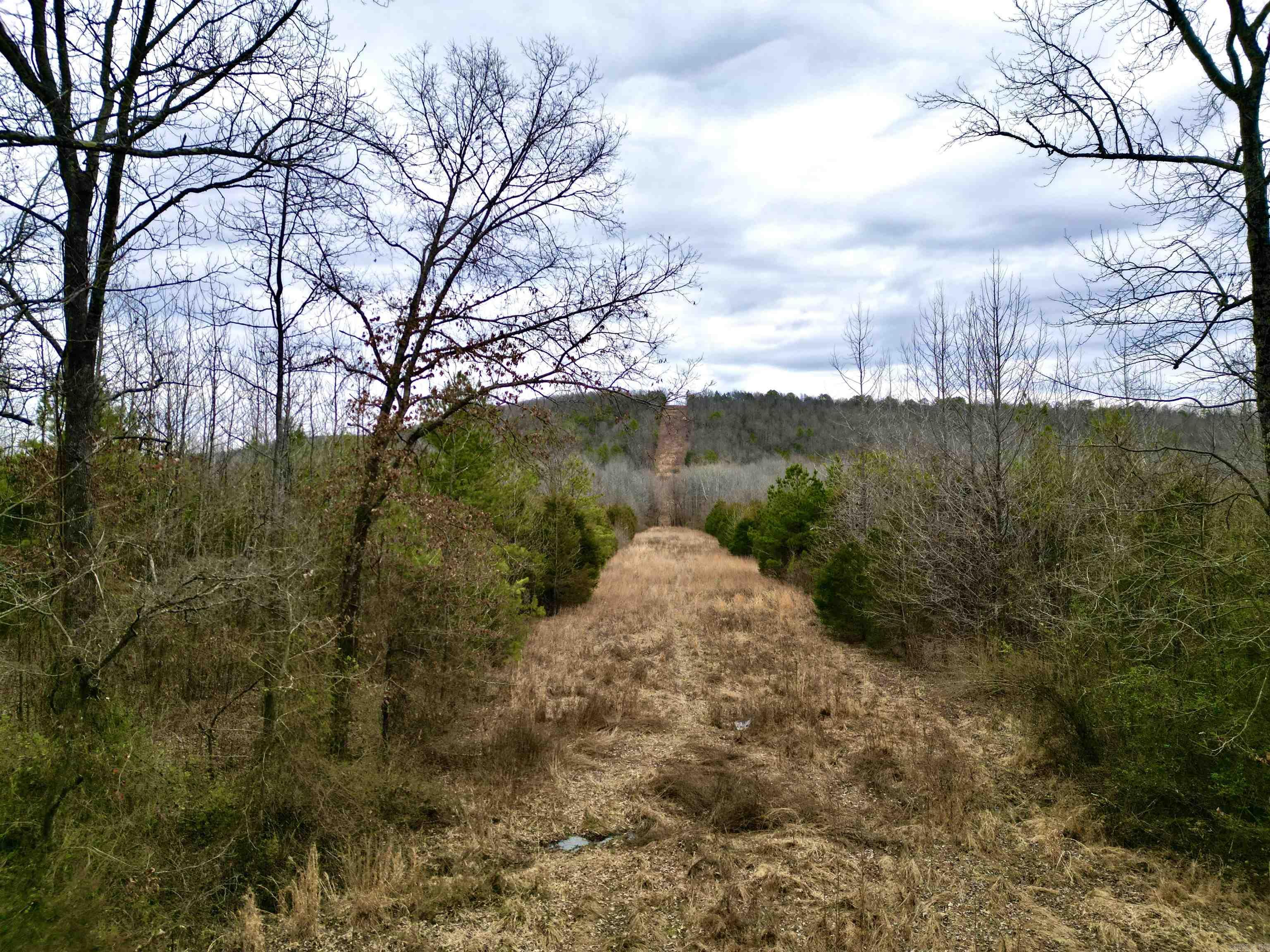 000  Long  Bee Branch, AR