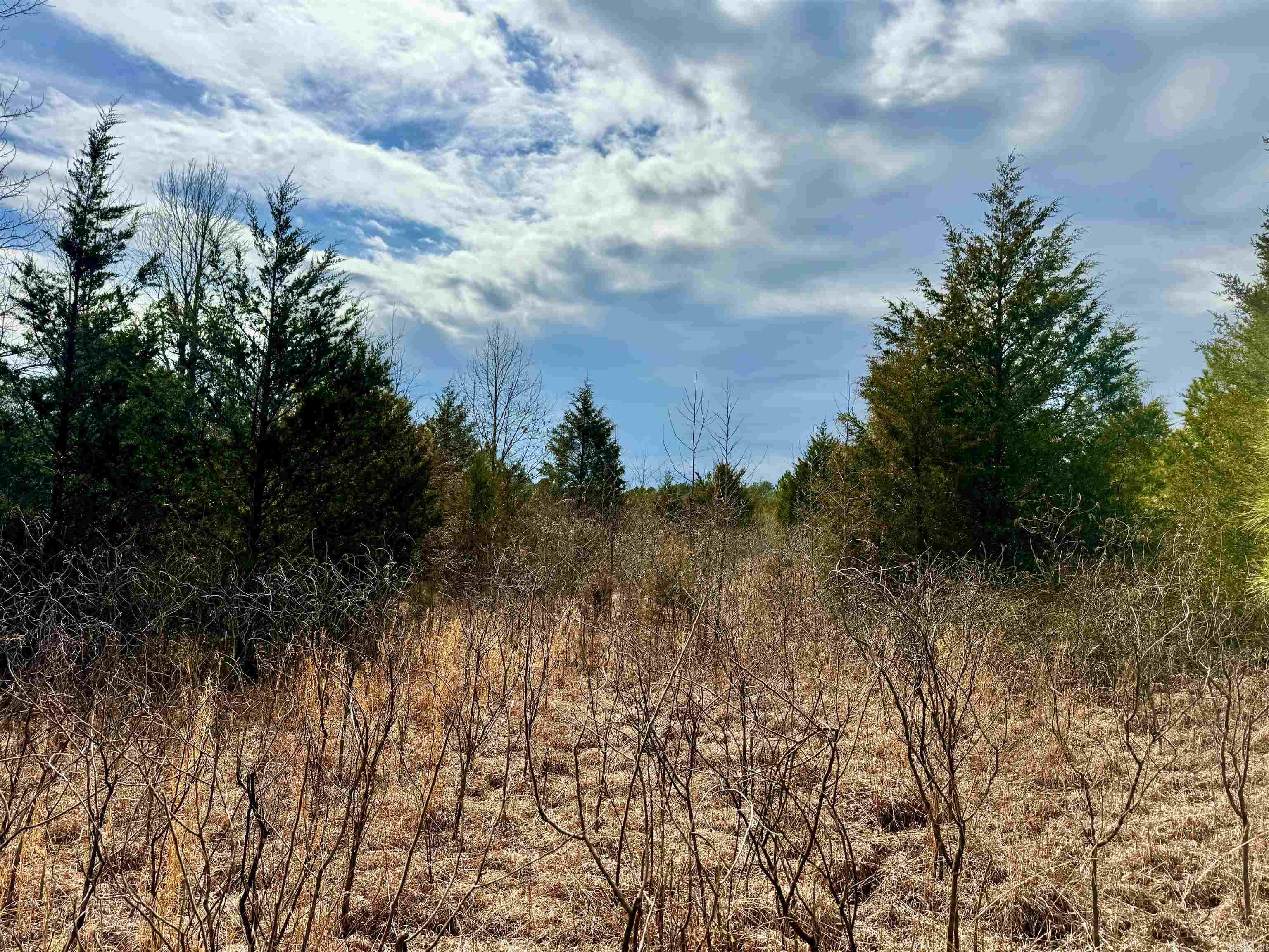 000  Long  Bee Branch, AR