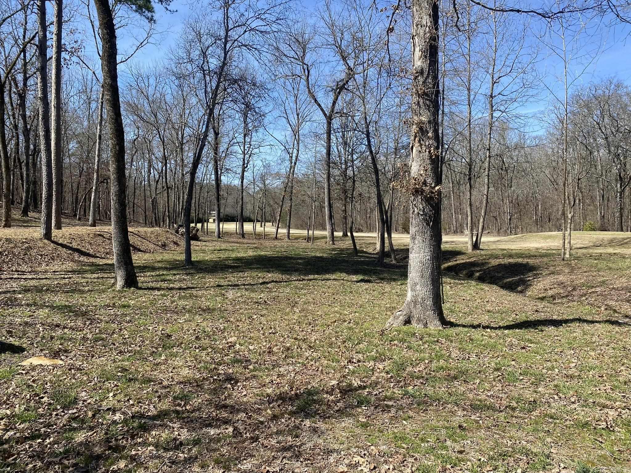 Lot 1704A  Pebble Beach  Hot Springs, AR