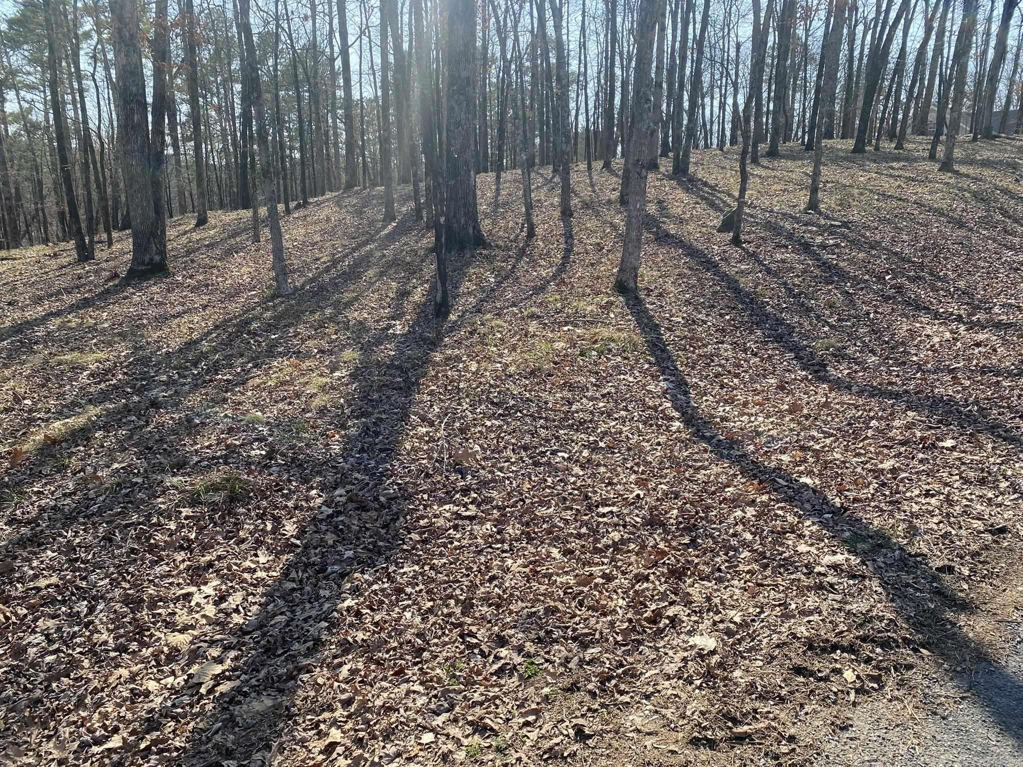 Lot 1687  Westchester  Hot Springs, AR