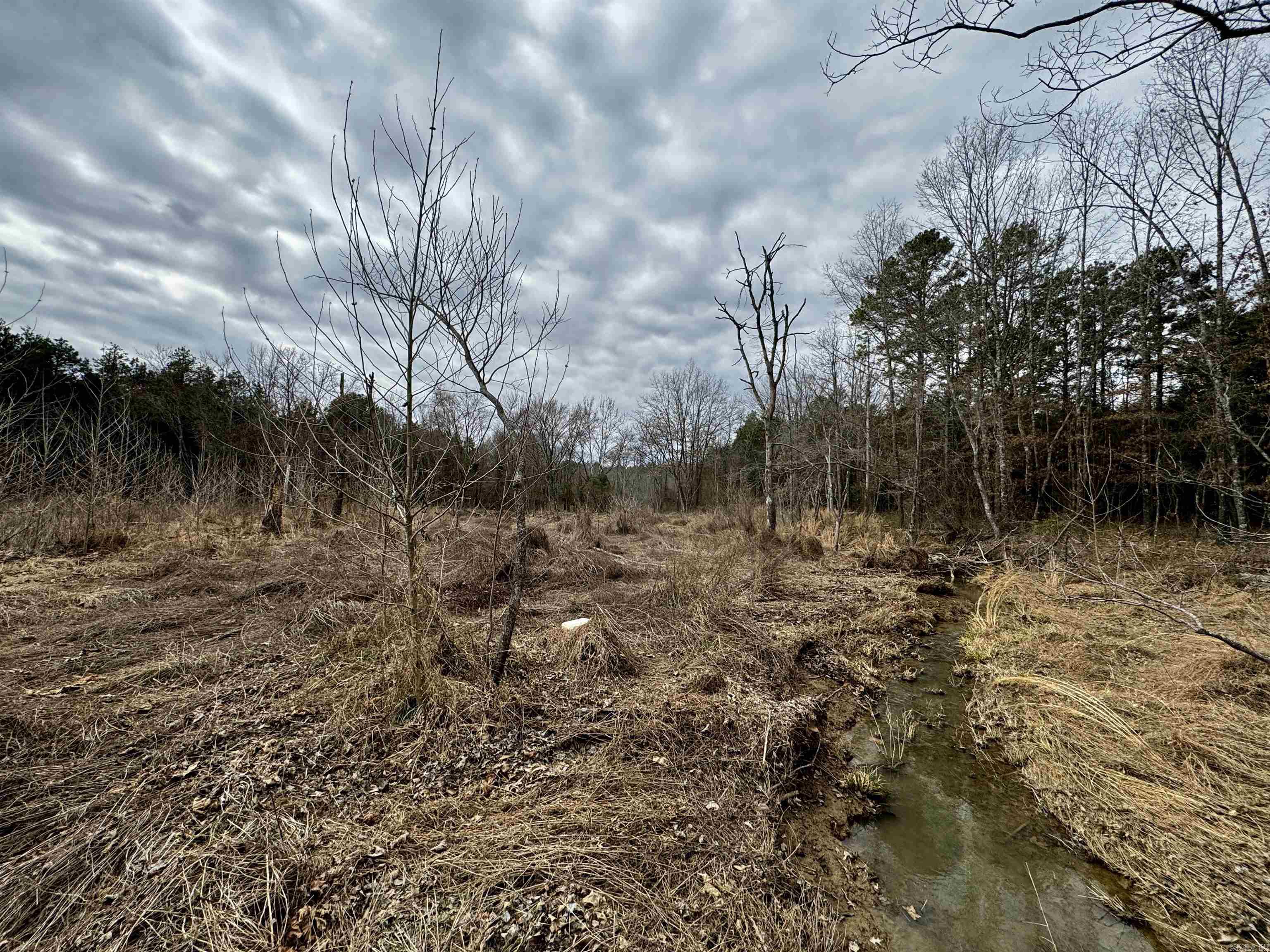 00 S Shelton  Bee Branch, AR